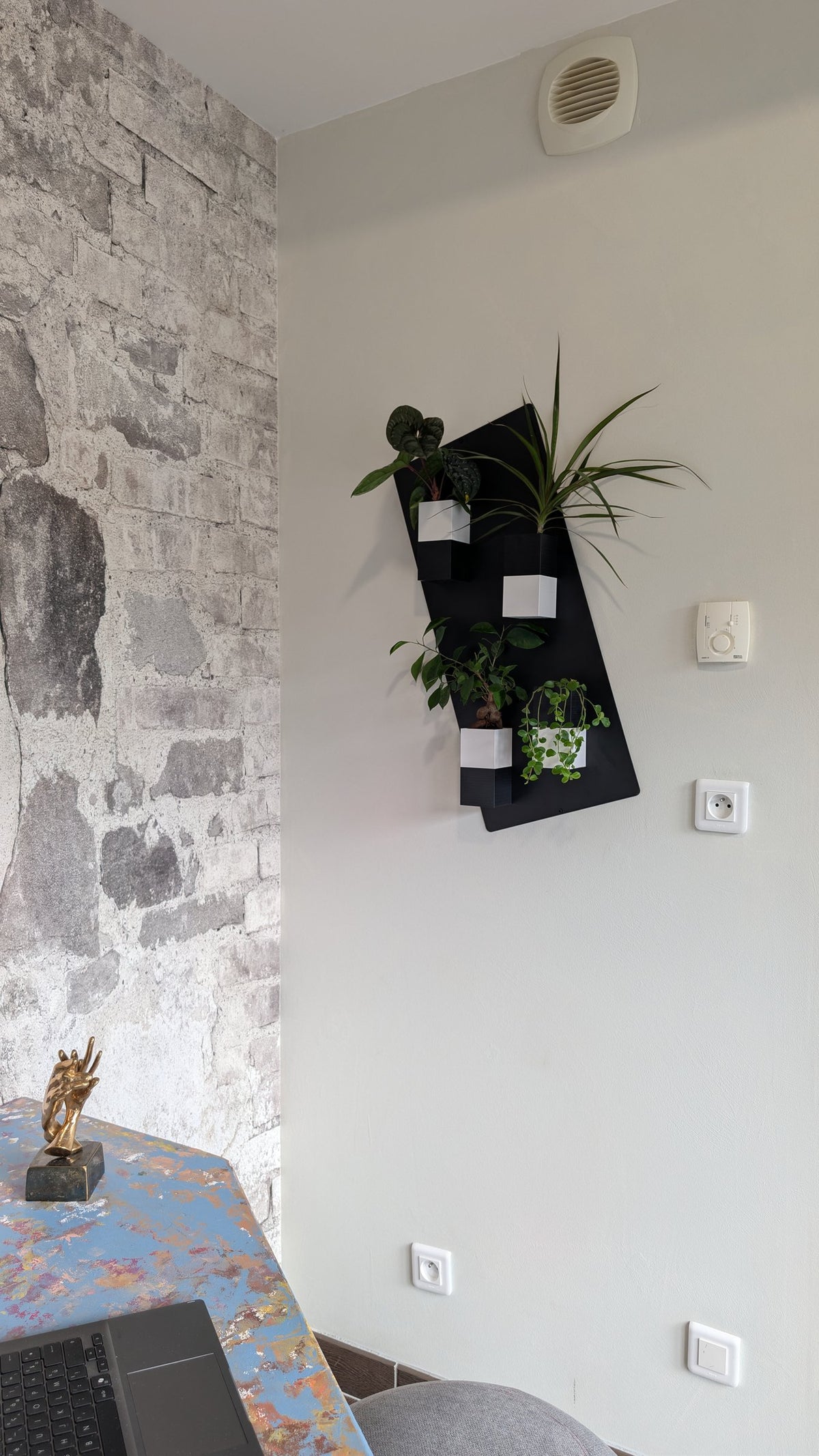 Mini mur végétal Éclance M4 bicolore noir et blanc : support mural noir avec quatre petits pots bicolores contenant des plantes vertes sur un mur clair.