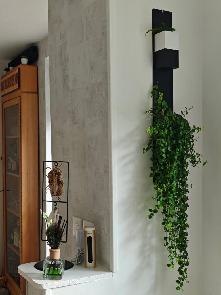 Mini mur végétal Éclance M2 bicolore noir et blanc : support végétal mural noir bicolore avec une plante tombante verte accroché dans un intérieur moderne.