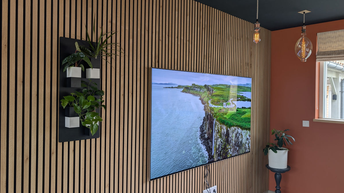 Mini mur végétal Éclance M4 bicolore noir et blanc : tableau végétal mural installé sur un mur en tasseaux de bois à côté d'un écran de télévision.