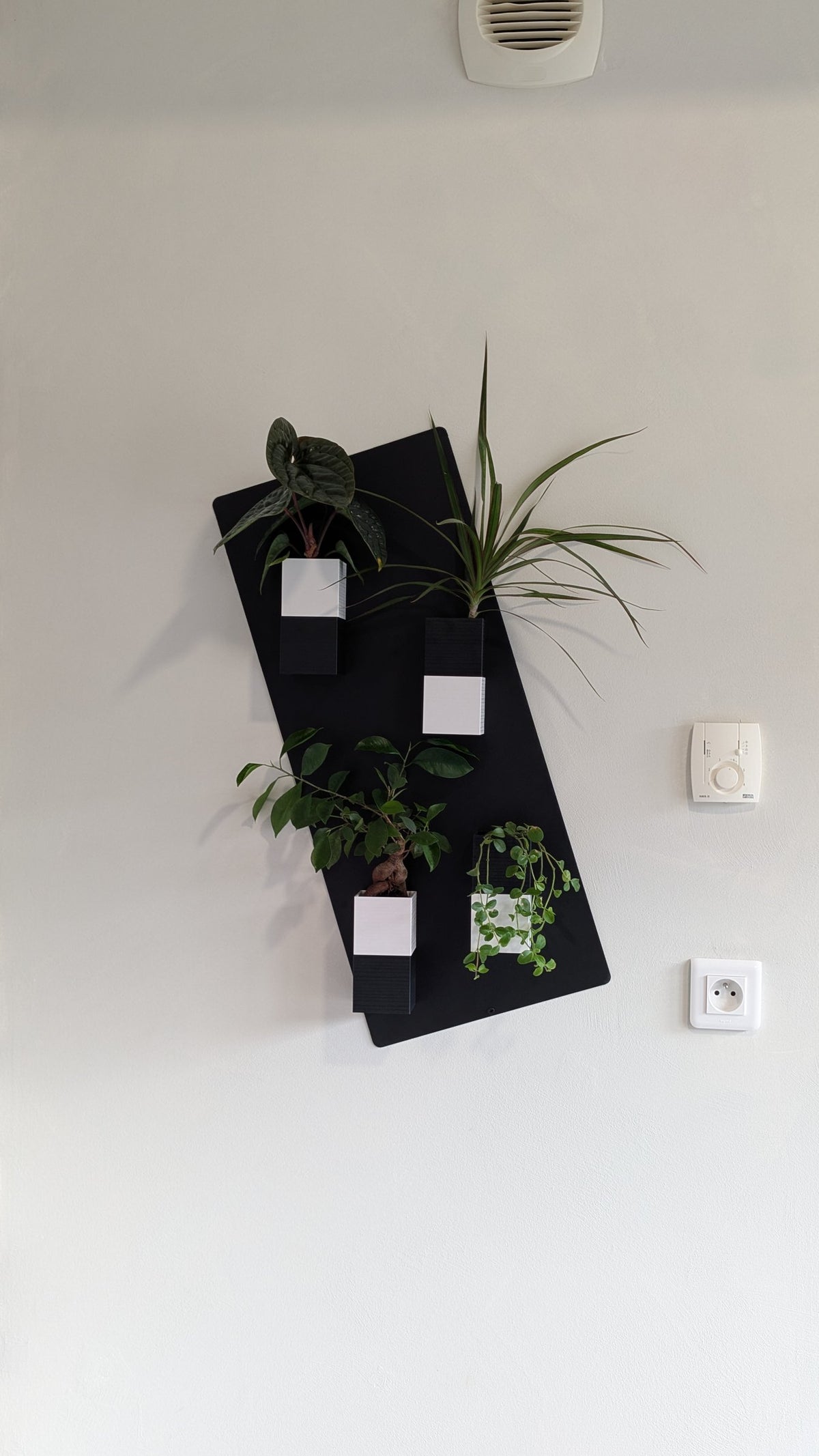 Mini mur végétal Éclance M4 bicolore noir et blanc : support mural végétal noir Éclance garni de quatre petits pots bicolores contenant différentes plantes vertes d'intérieur.
