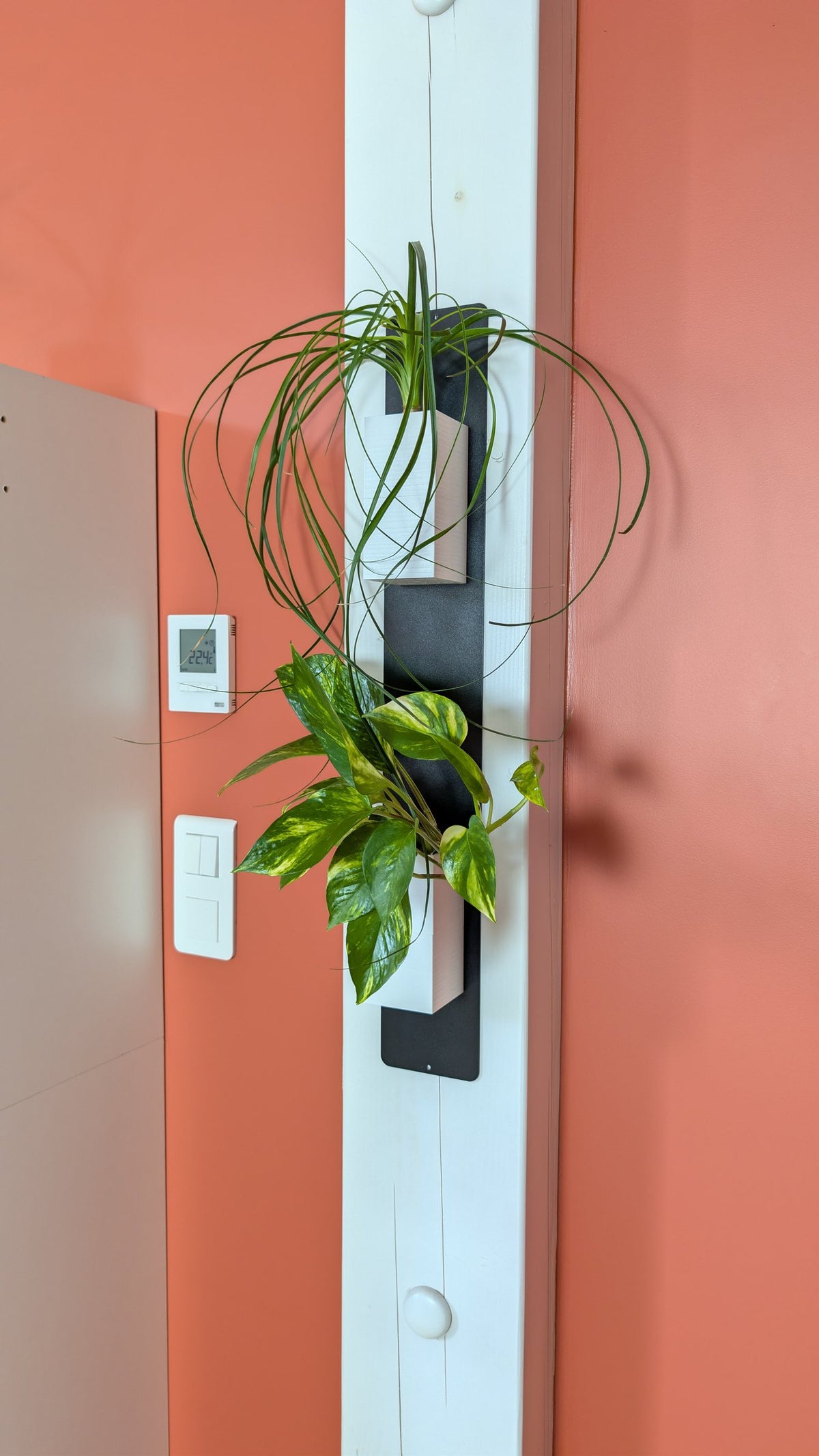 Mini mur végétal Éclance M2 blanc : support mural végétal noir et blanc fixé sur une poutre en bois avec deux plantes d'intérieur.
