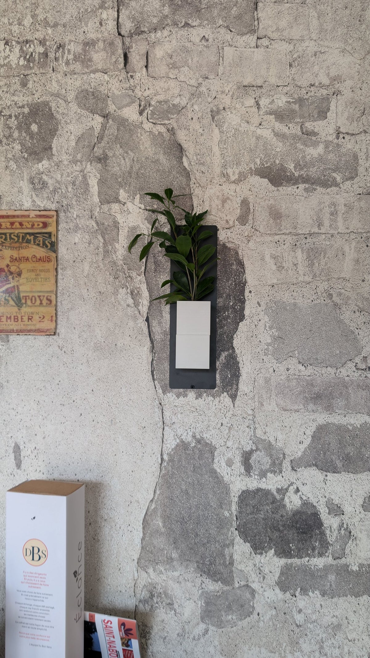 Mini mur végétal Éclance M1 blanc : un support mural blanc fixé sur un mur en pierre ancienne avec une plante verte.