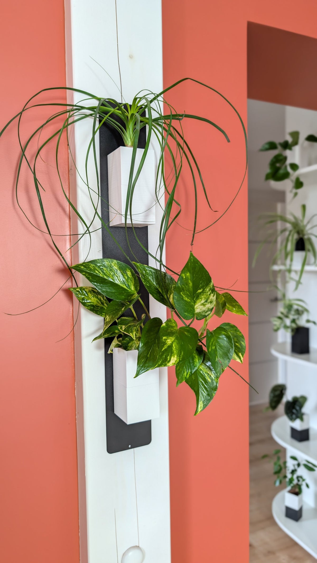 Mini mur végétal Éclance M2 blanc : support mural vertical blanc et noir accueillant deux plantes vertes contre un mur couleur terracotta.