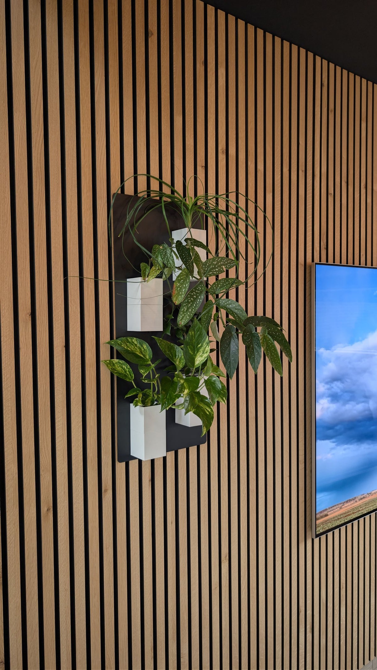 Mini mur végétal Éclance M4 blanc : support mural végétal noir avec quatre pots blancs fixé sur un mur tasseaux bois.