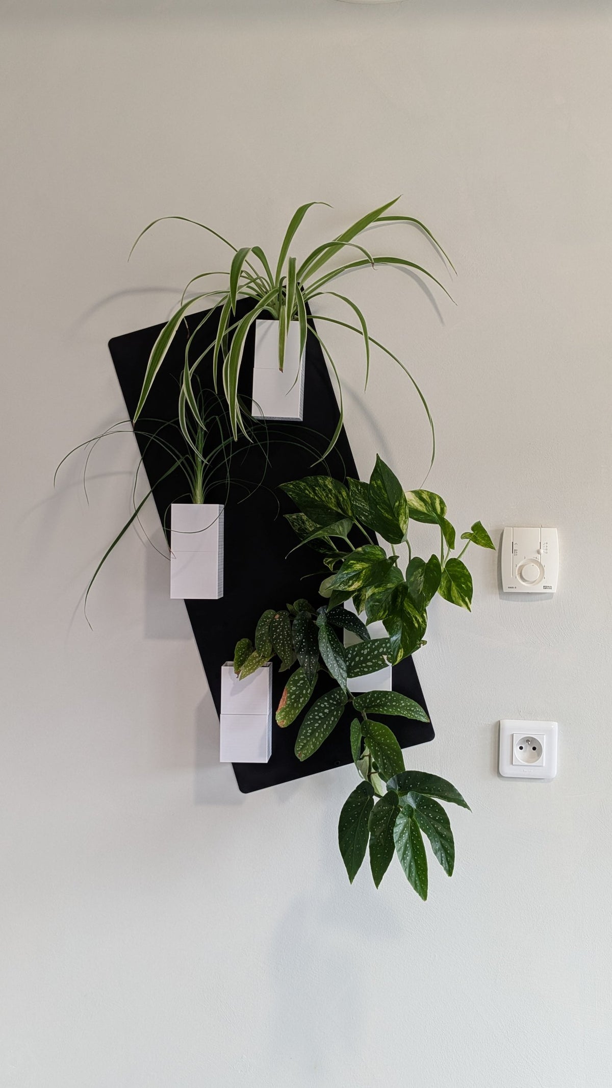 Mini mur végétal Éclance M4 blanc : support mural végétal noir Éclance avec quatre petits pots blancs contenant des plantes vertes d'intérieur.