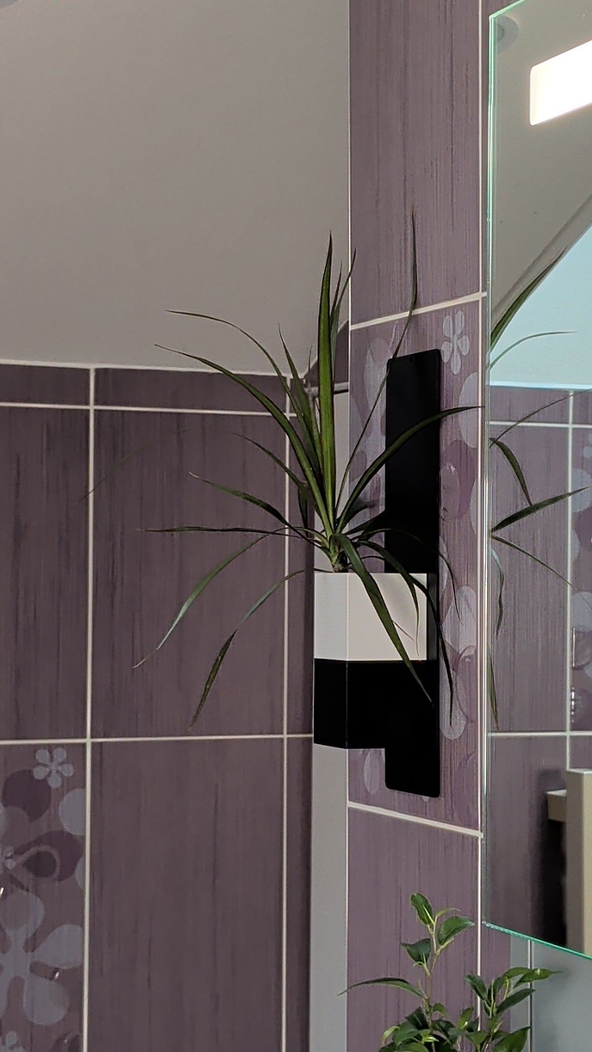 Mini mur végétal Éclance M1 bicolore (cube haut blanc, cube bas noir) : support mural design blanc et noir accueillant une plante verte dans une salle de bain moderne.
