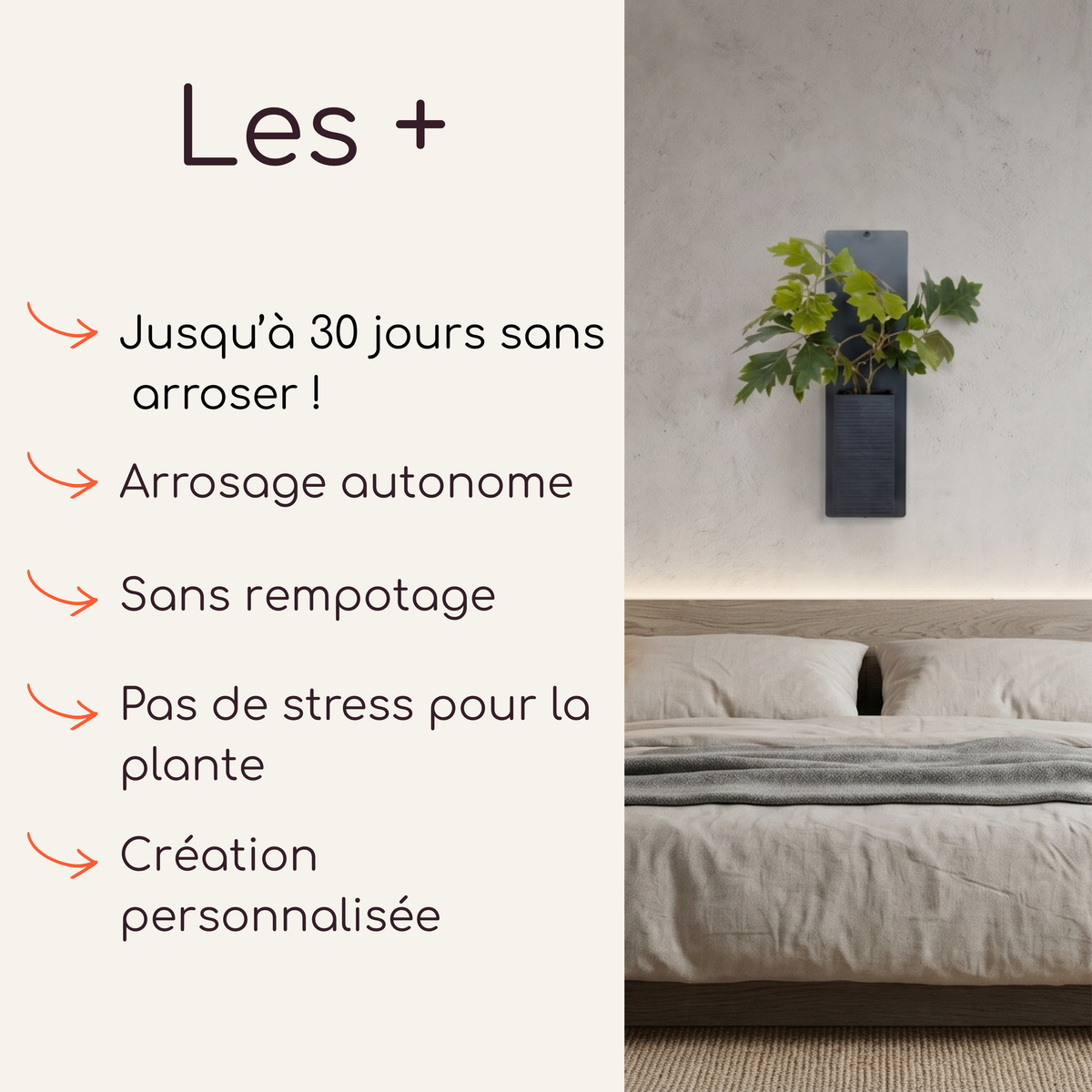 Mini mur végétal et cache-pot mural noir Éclance installé dans une chambre au-dessus d'un lit. Le visuel présente les avantages de la décoration d'intérieur végétale Éclance : arrosage autonome jusqu'à 30 jours, sans rempotage et création personnalisée.