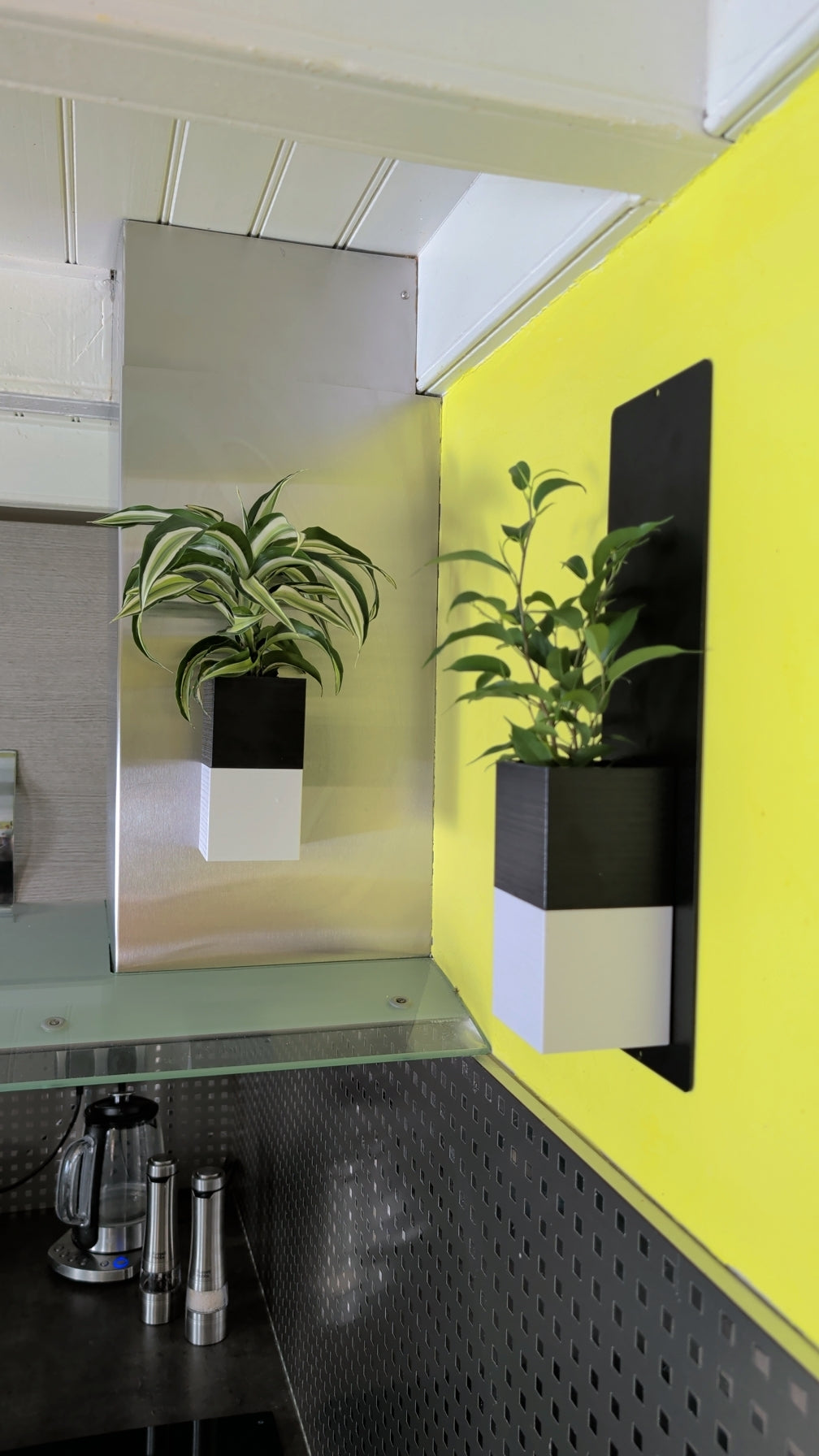 Mini mur végétal Éclance M1 bicolore (cube haut noir, cube bas blanc) : deux cache-pots muraux bicolores noir et blanc contenant des plantes vertes fixés dans une cuisine.
