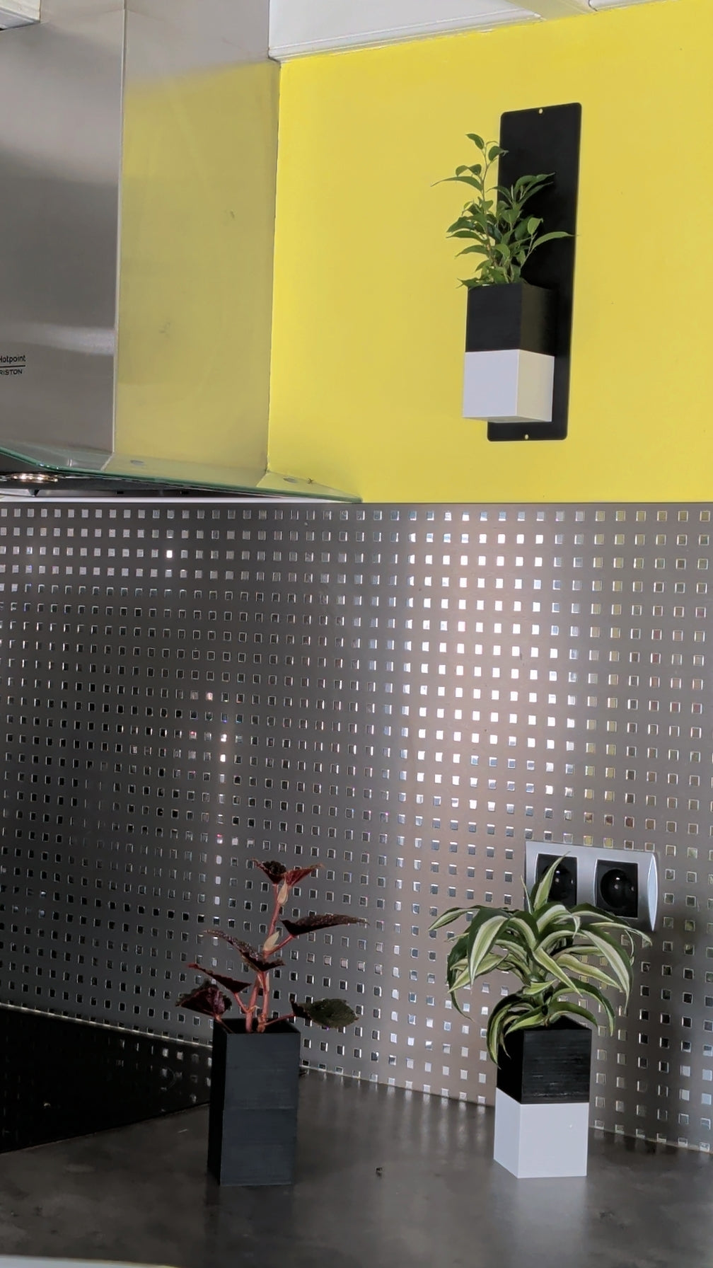 Mini mur végétal Éclance M1 bicolore (cube haut noir, cube bas blanc) : un support mural noir et blanc fixé sur un mur jaune vif dans une cuisine moderne.