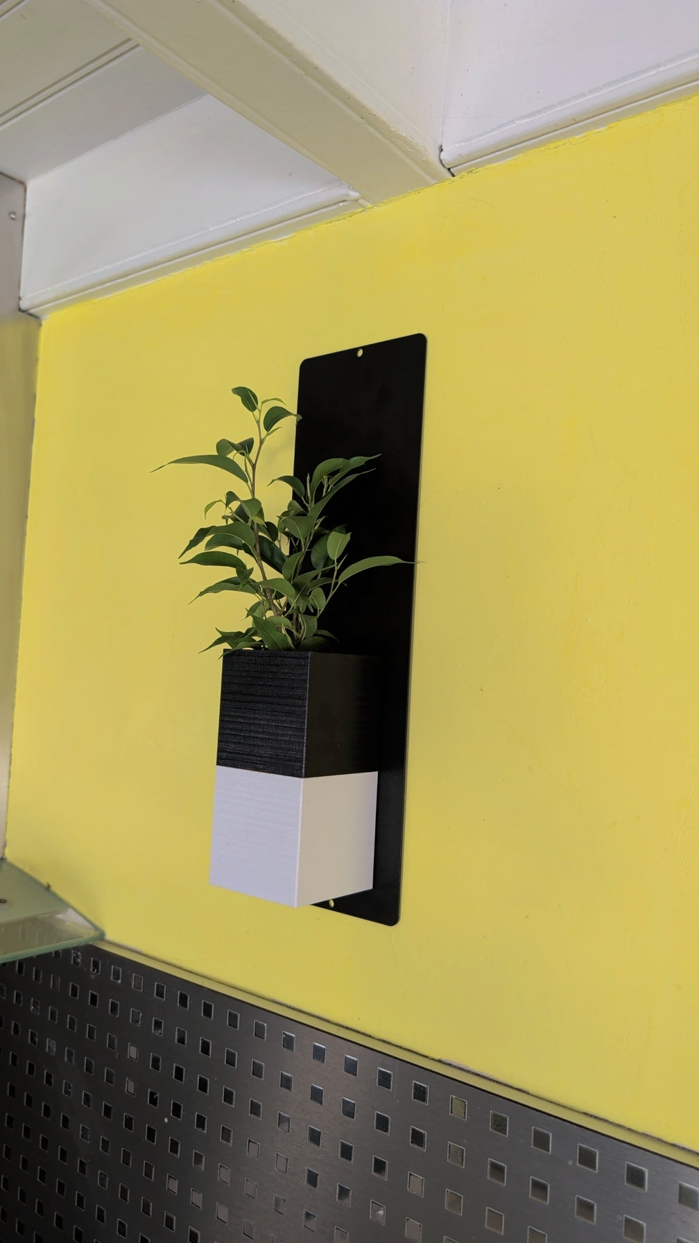 Mini mur végétal Éclance M1 bicolore (cube haut noir, cube bas blanc) : jardinière murale design noir et blanc accrochée sur un mur jaune vif avec plante verte.