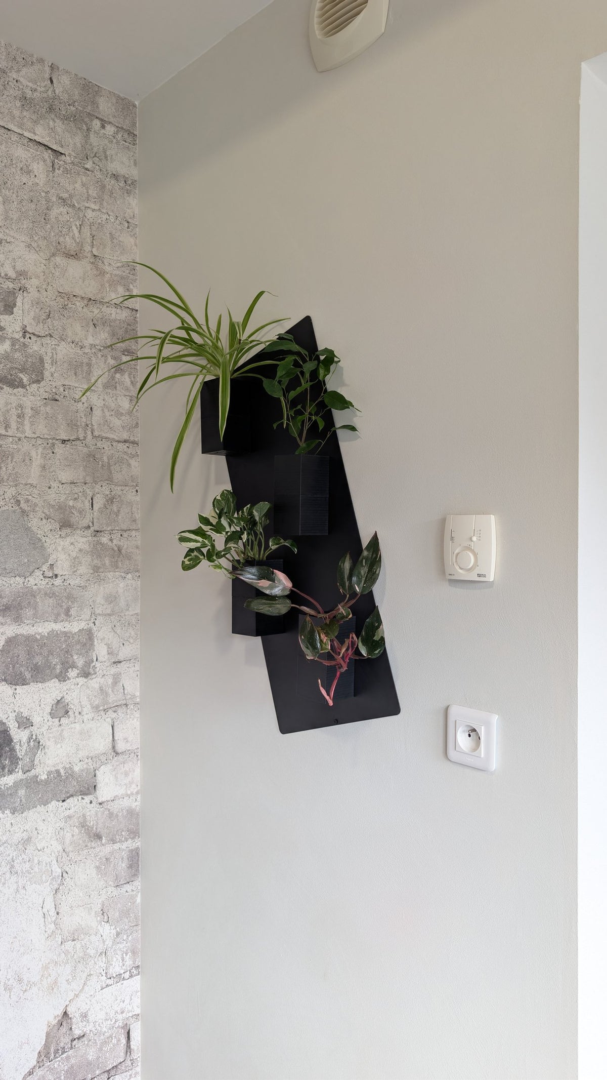 Mini mur végétal Éclance M4 noir : support mural végétal noir Mini Mur M4 fixé sur un mur clair avec différentes plantes vertes.