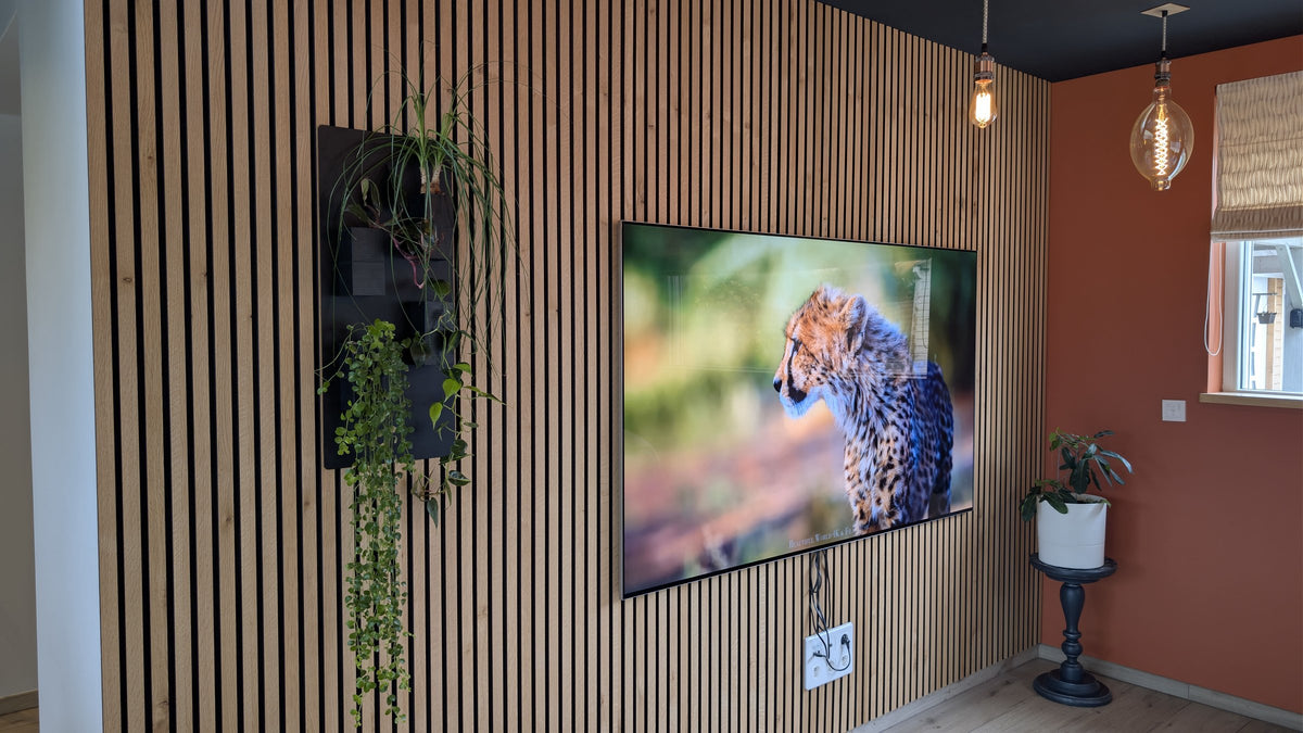 Mini mur végétal Éclance M4 noir : support végétal noir fixé sur un mur en tasseaux de bois à côté d'un écran de télévision.