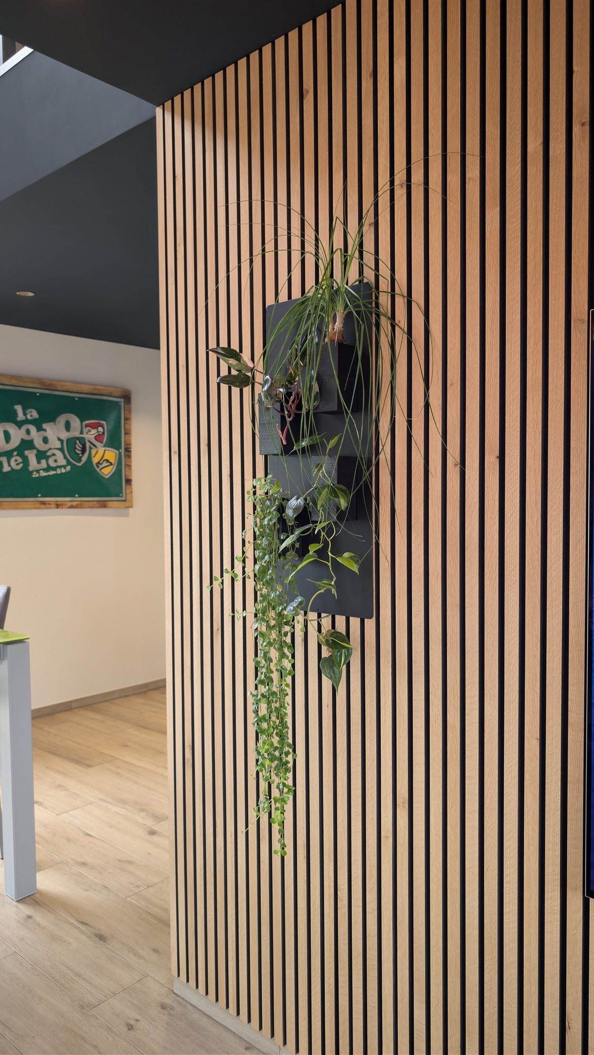 Mini mur végétal Éclance M4 noir : un support mural noir avec plantes vertes fixé sur un mur en tasseaux de bois clair.