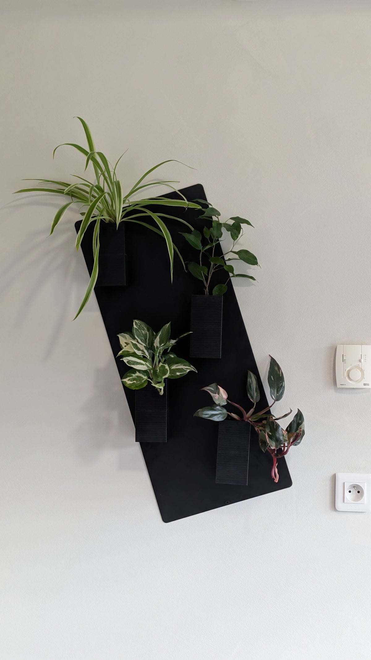 Mini mur végétal Éclance M4 noir : support mural végétal noir Mini Mur Éclance garni de quatre petites plantes vertes d'intérieur.