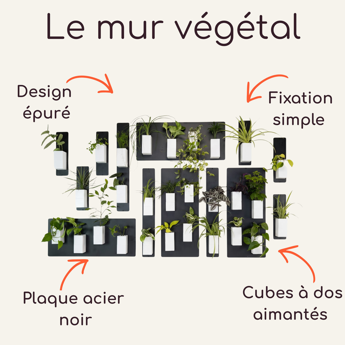 Mur végétal modulable Éclance composé de plaques en acier noir et de cache-pots magnétiques blancs modèle Le Cube, spécialement adaptés pour un pot de 6cm de diamètre.