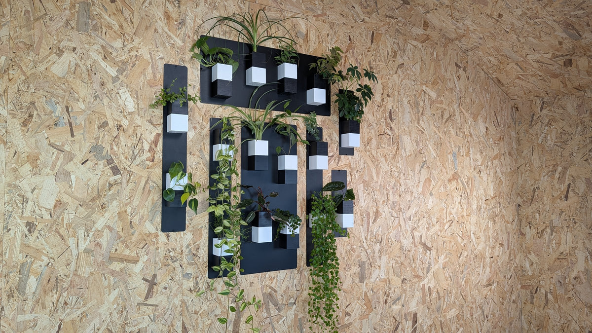 Mur végétal Éclance M bicolore noir et blanc : jardin mural végétal composé de plusieurs plaques noires fixées sur un mur en bois OSB.