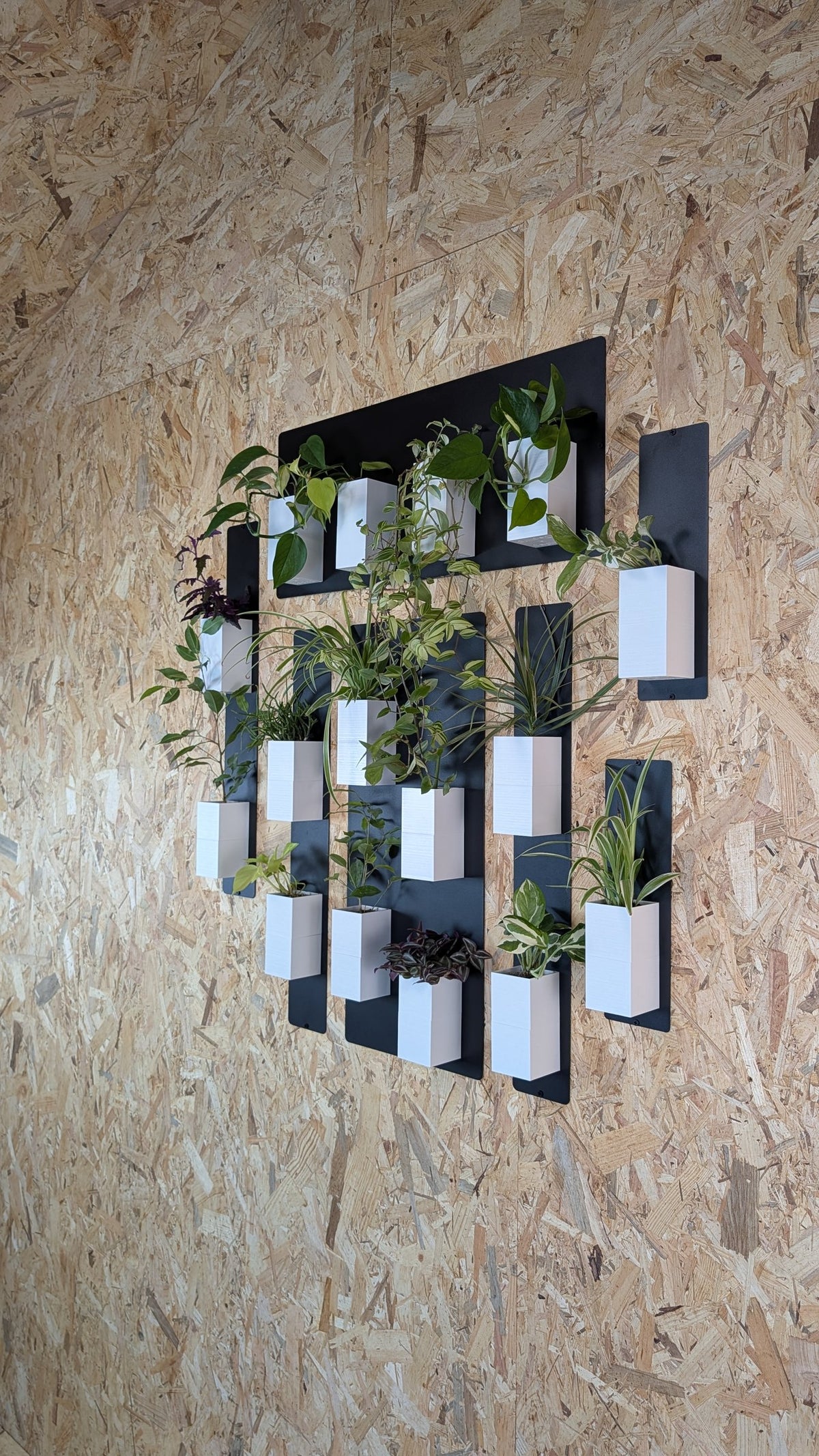 Mur végétal Éclance M blanc : mur végétal Éclance composé de cache-pots blancs fixés sur plaques noires contre un mur en bois.