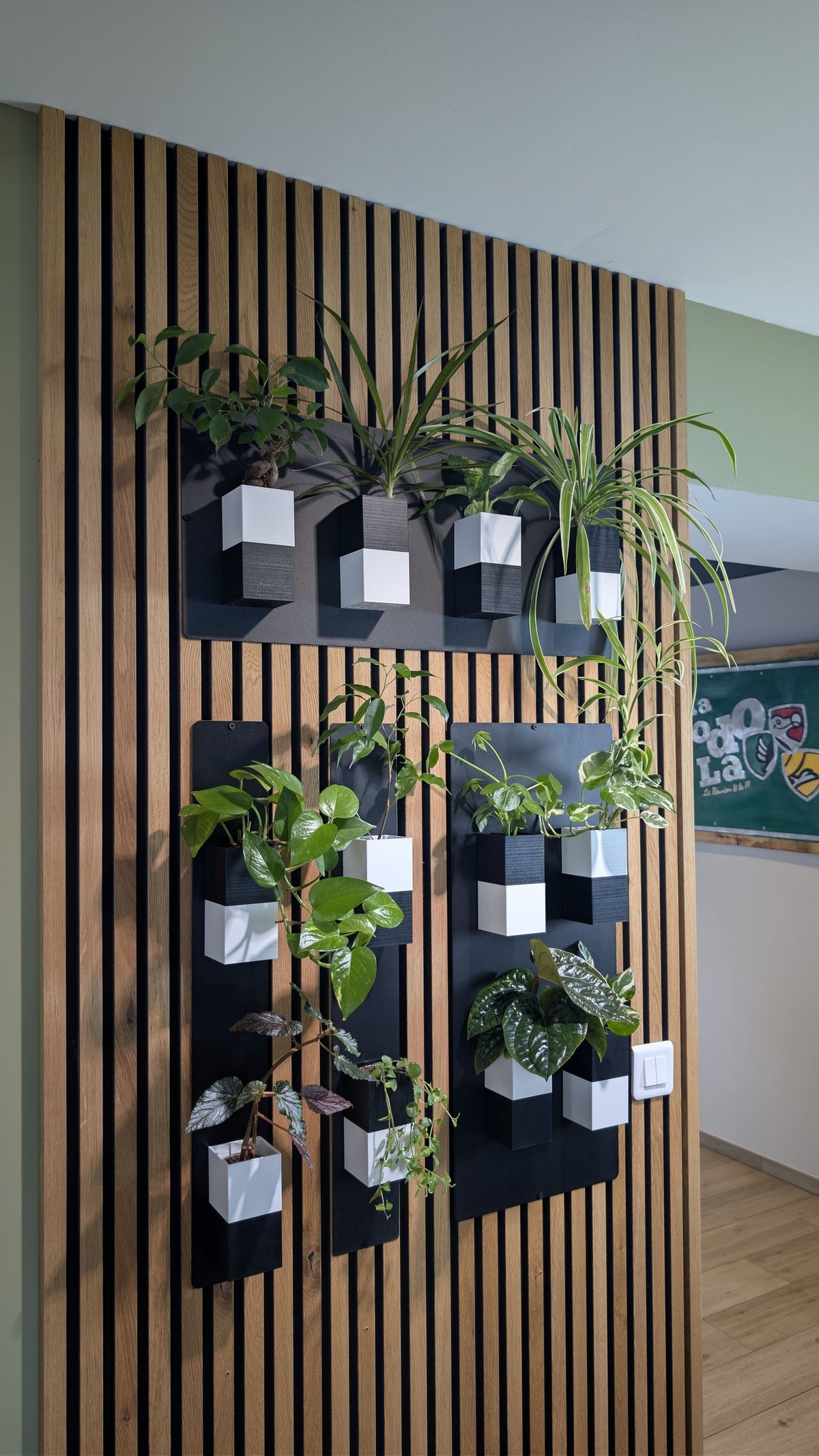Mur végétal Éclance S bicolore noir et blanc : supports muraux bicolores Éclance fixés sur un tasseau en bois décoratif garnis de plantes vertes.