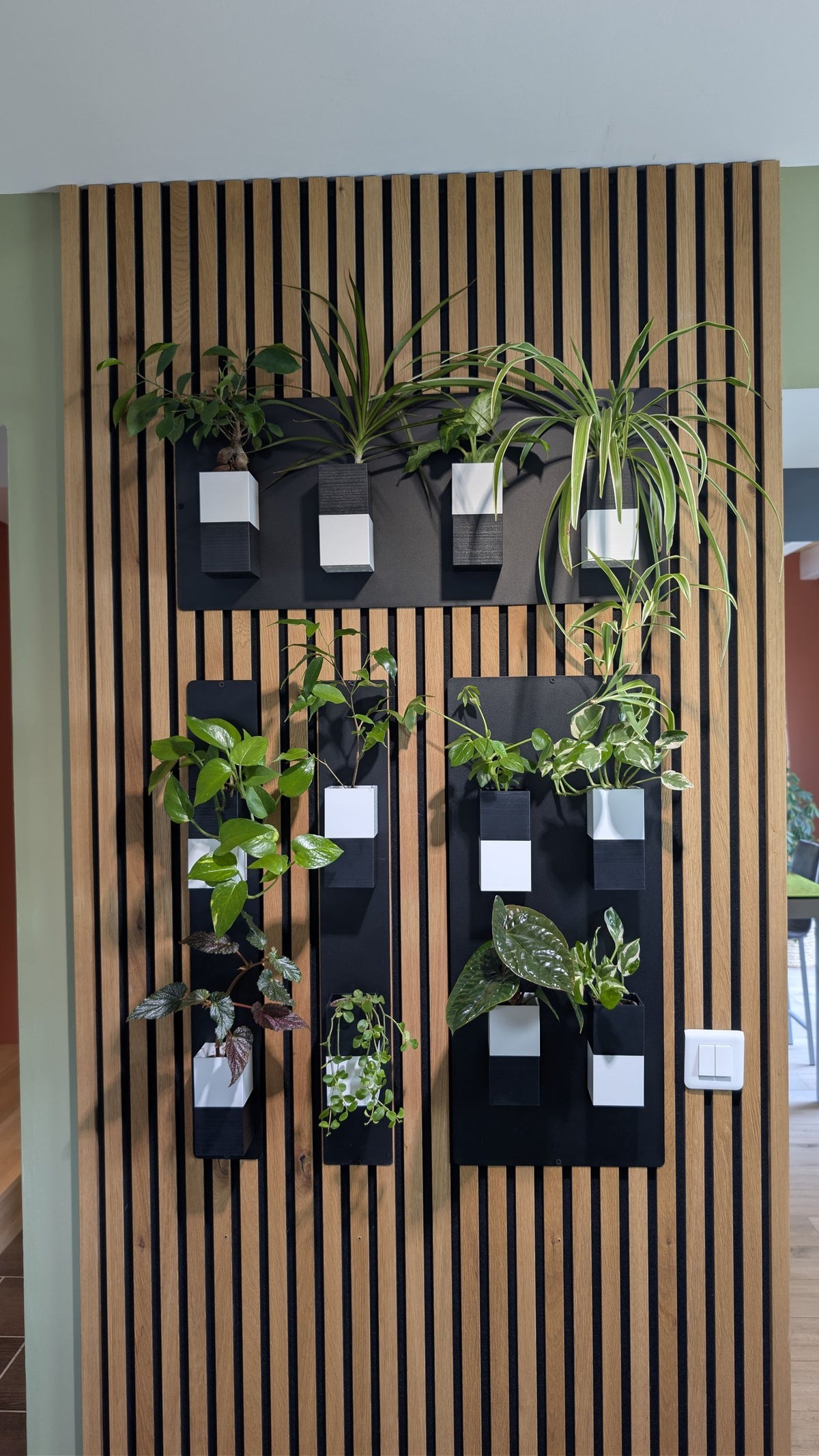 Mur végétal Éclance S bicolore noir et blanc : mur végétal modulaire Éclance fixé sur des tasseaux en bois avec diverses plantes vertes d'intérieur.