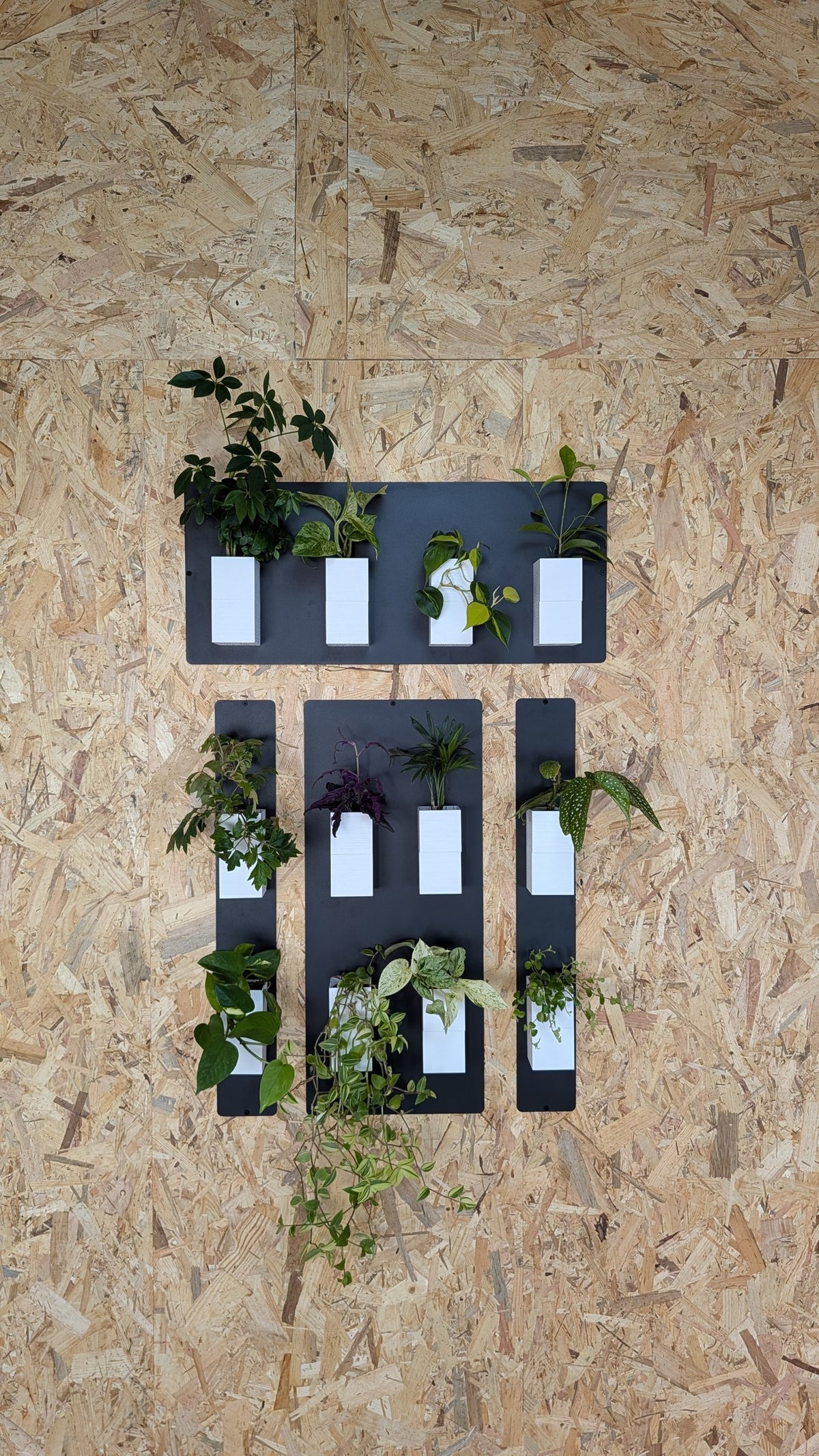Mur végétal Éclance S blanc : installation de panneaux verticaux et mur végétal Éclance blanc garni de petites plantes vertes d'intérieur.