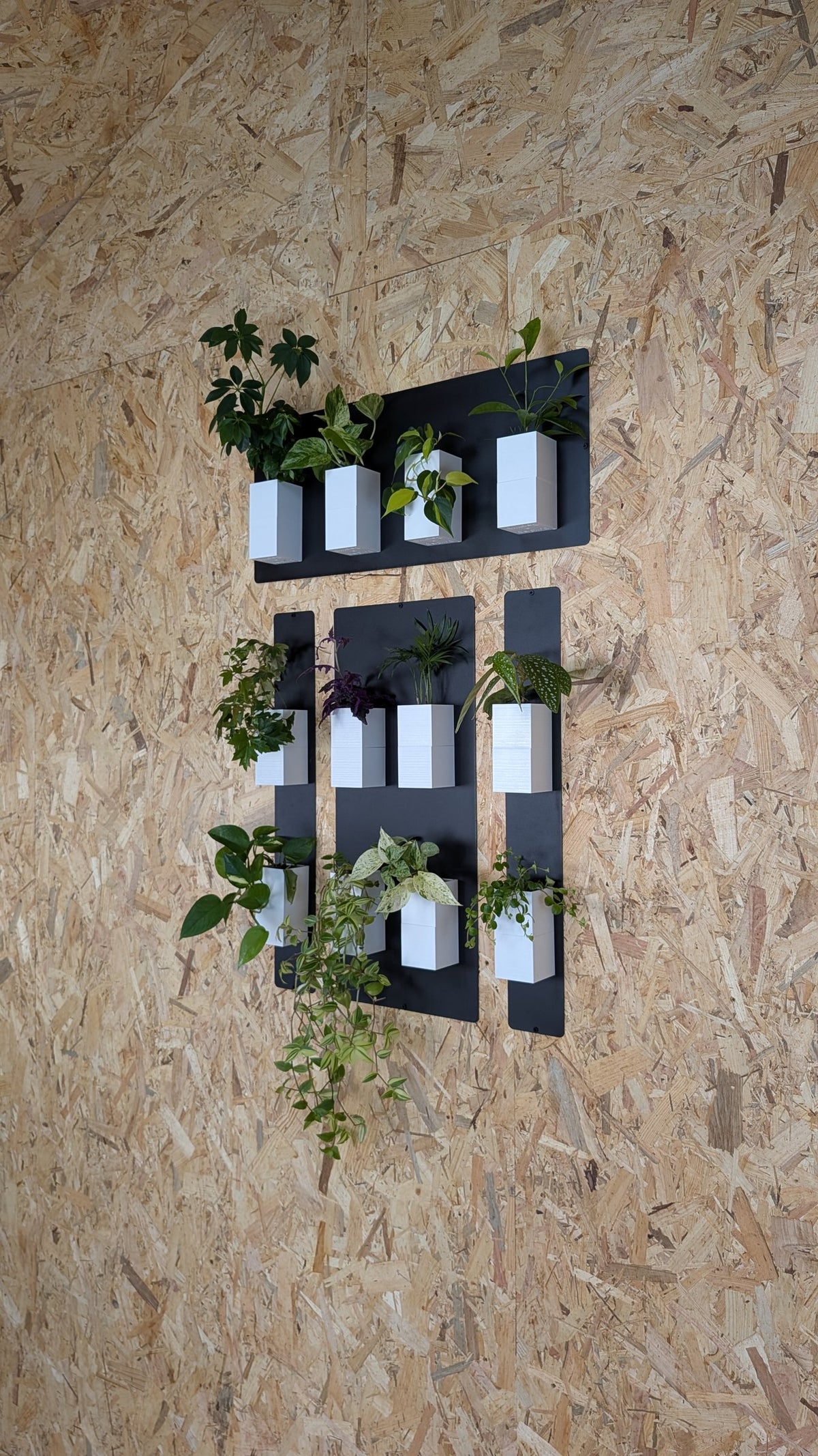 Mur végétal Éclance S blanc : support mural végétal noir garni de cache-pots blancs avec différentes plantes vertes d'intérieur.