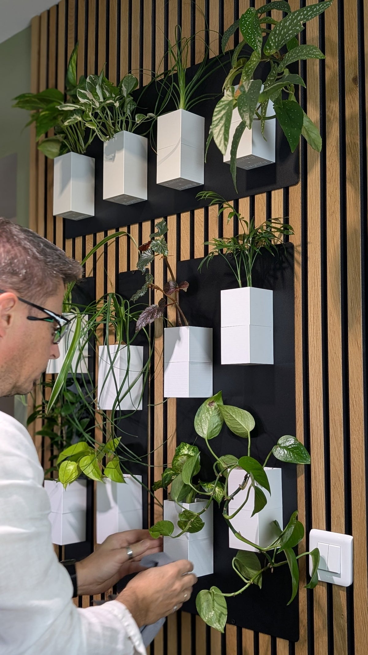 Mur végétal Éclance S blanc : un homme s'occupe de plantes vertes disposées dans des cache-pots blancs sur un mur végétal.