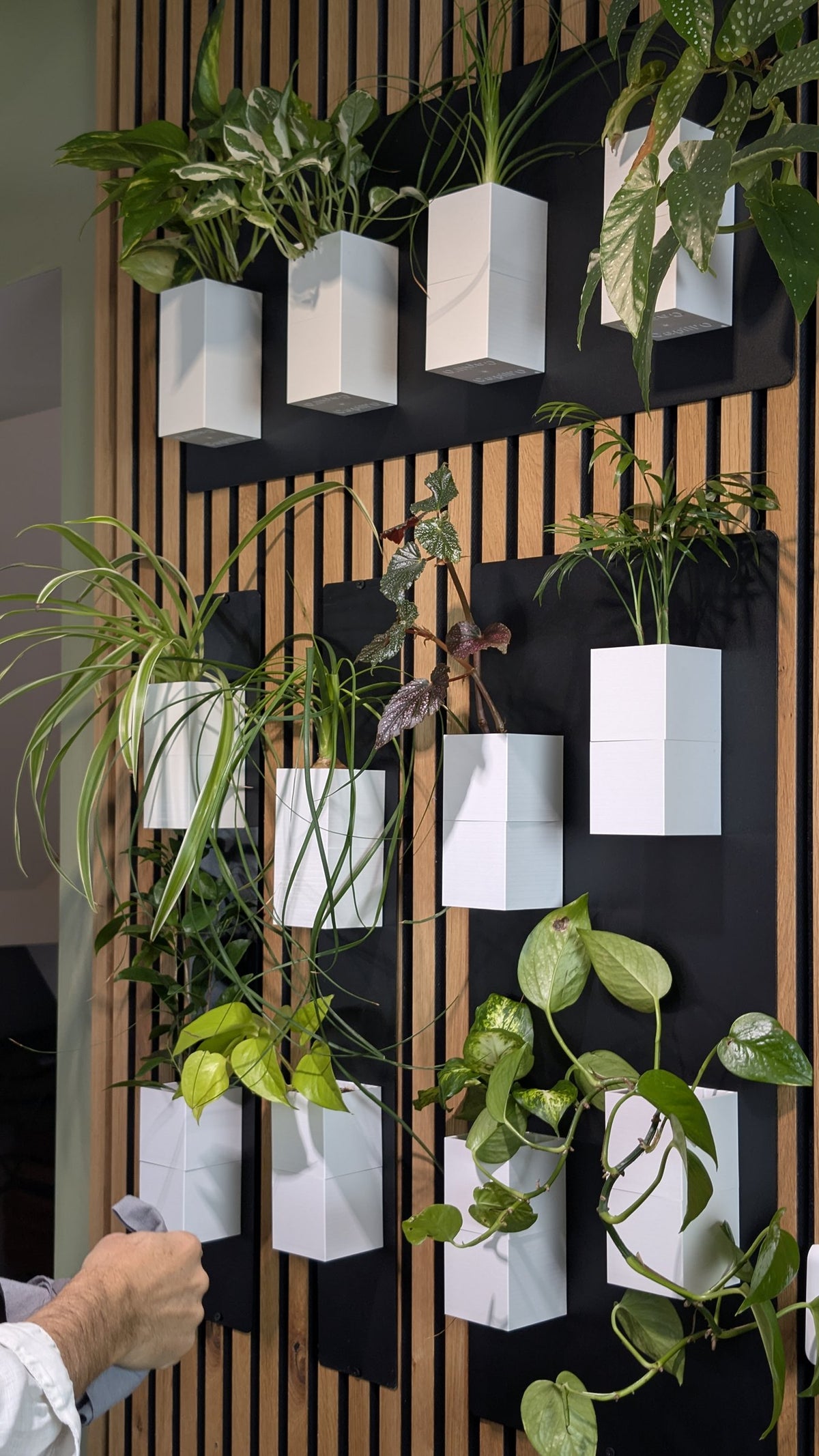Mur végétal Éclance S blanc : un mur végétal composé de pots blancs modulaires fixés sur des panneaux tasseaux en bois.