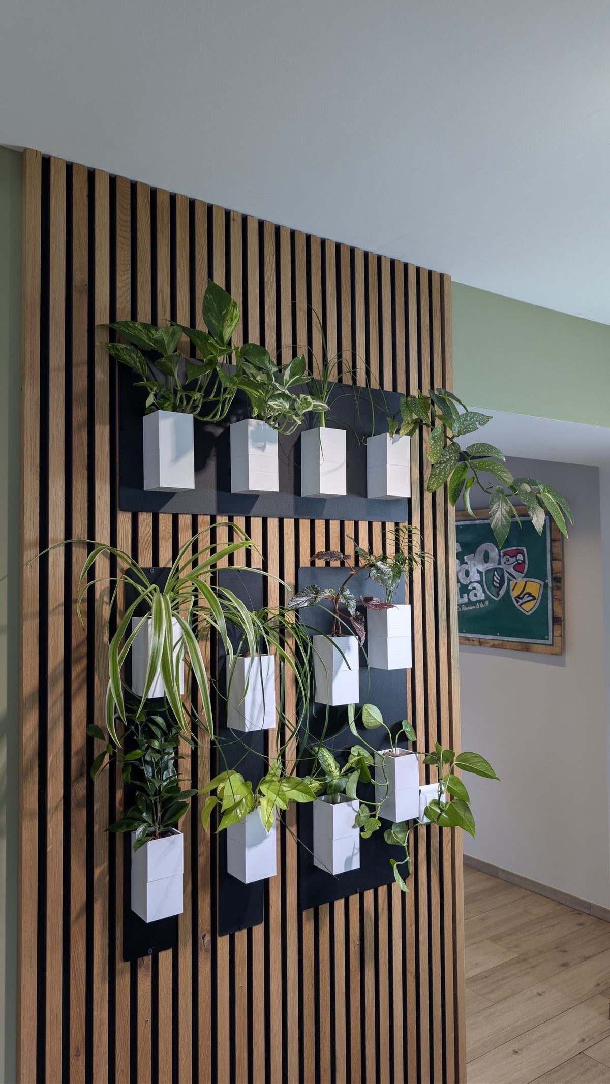 Mur végétal Éclance S blanc : murs végétaux verticaux Éclance avec cache-pots blancs installés sur un tasseau de bois mural.