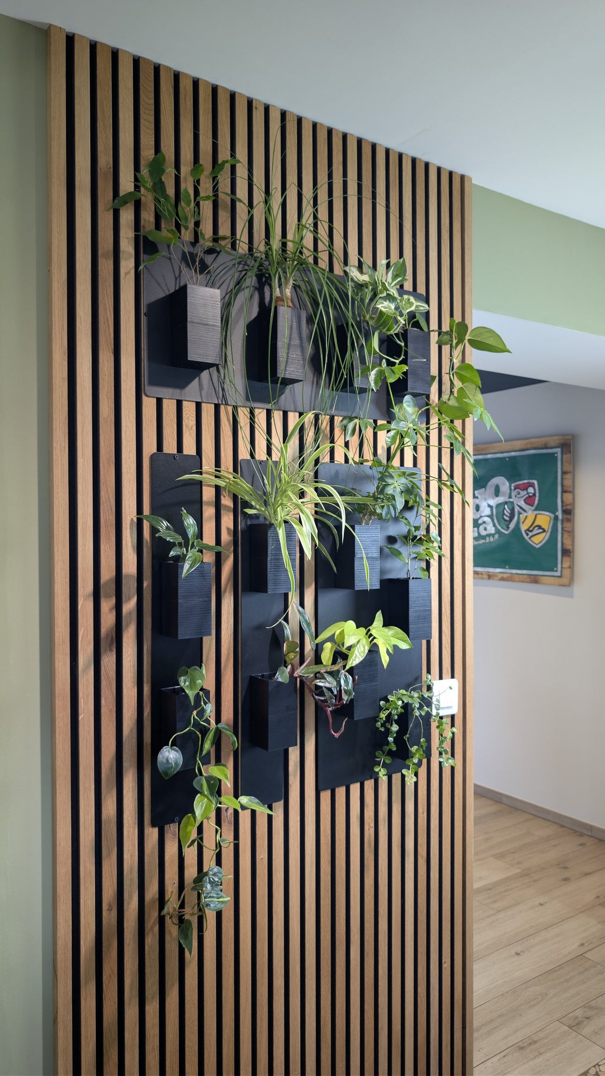 Mur végétal Éclance S noir : plantes vertes installées dans des cache-pots noirs fixés sur un mur en tasseaux de bois.