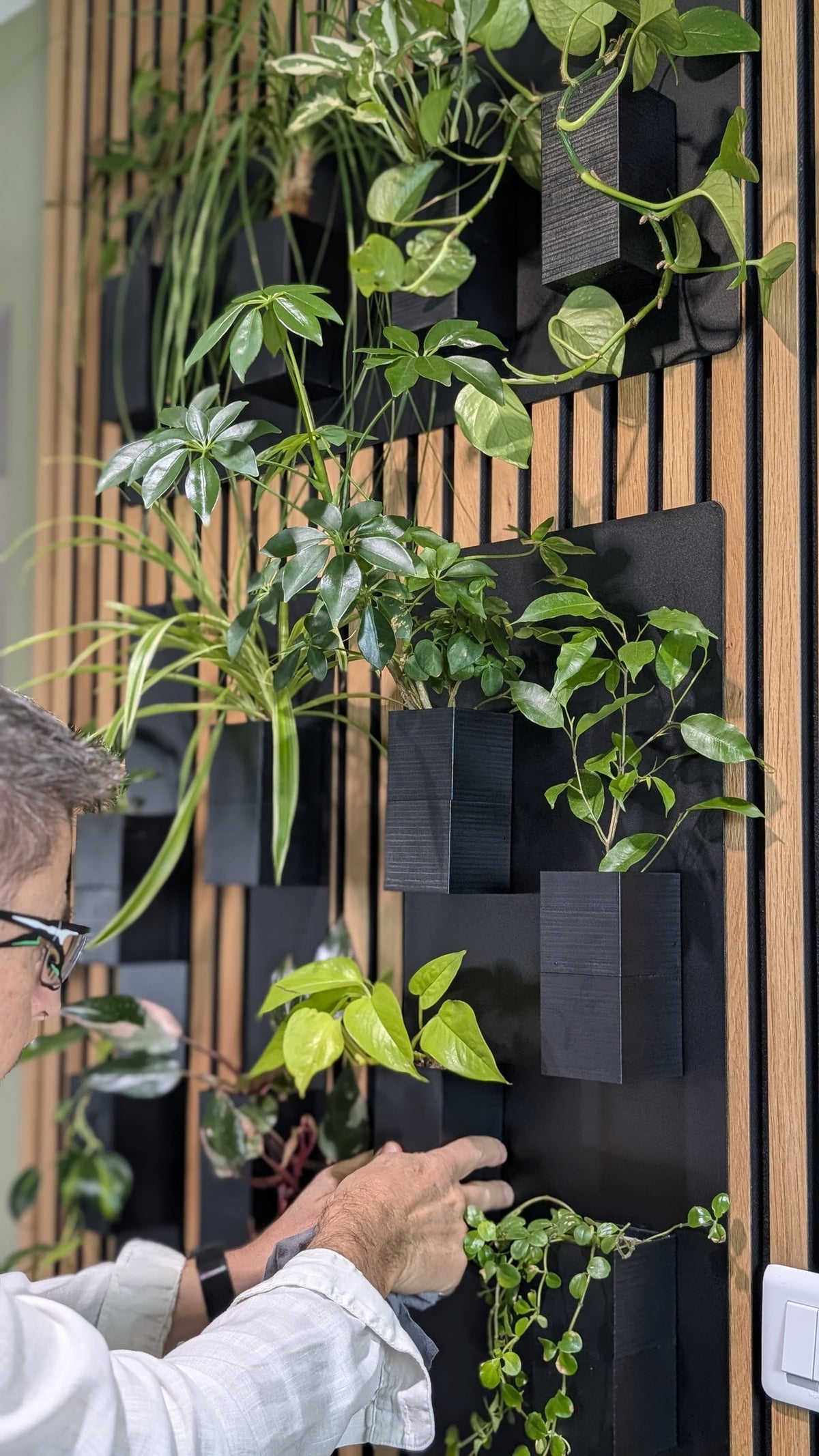 Mur végétal Éclance S noir : installation de pots noirs pour mur végétal sur un panneau mural en tasseaux de bois.