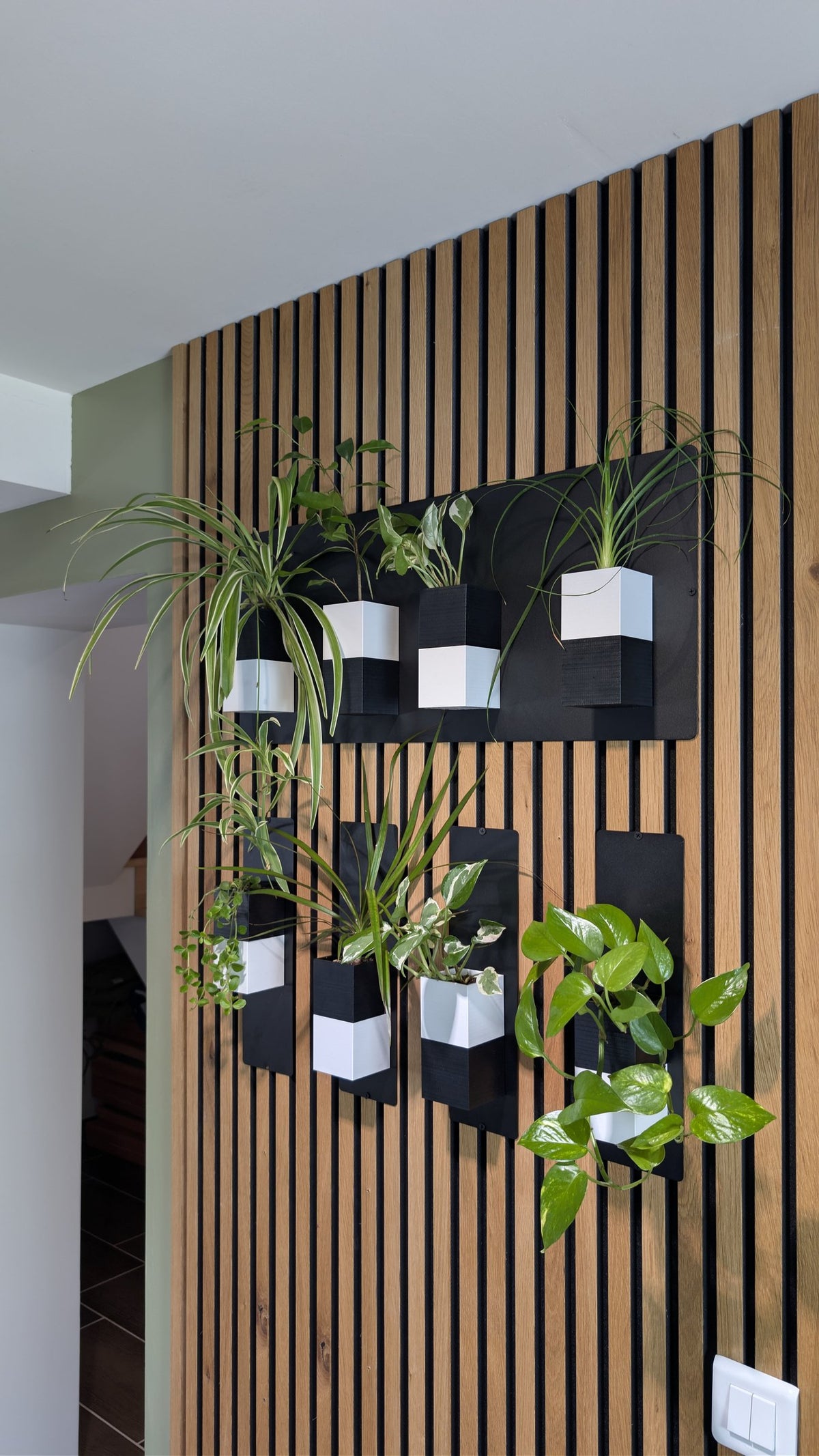 Mur végétal Éclance XS bicolore noir et blanc : supports pour plantes murales bicolores fixés sur un pan de mur tasseau en bois.