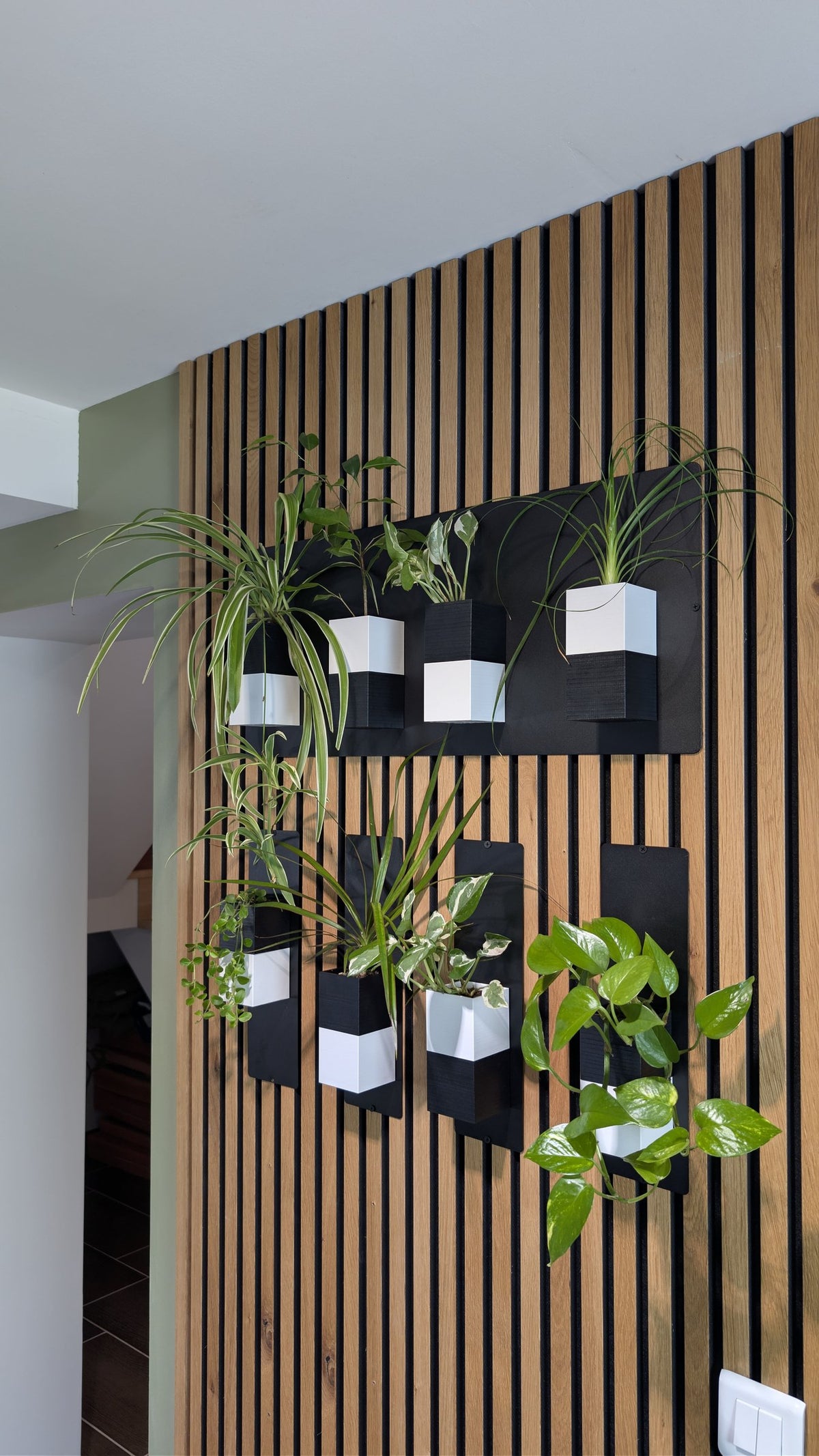 Mur végétal Éclance XS bicolore noir et blanc : mur végétal Éclance bicolore fixé sur un tasseau de bois décoratif avec plusieurs plantes vertes.