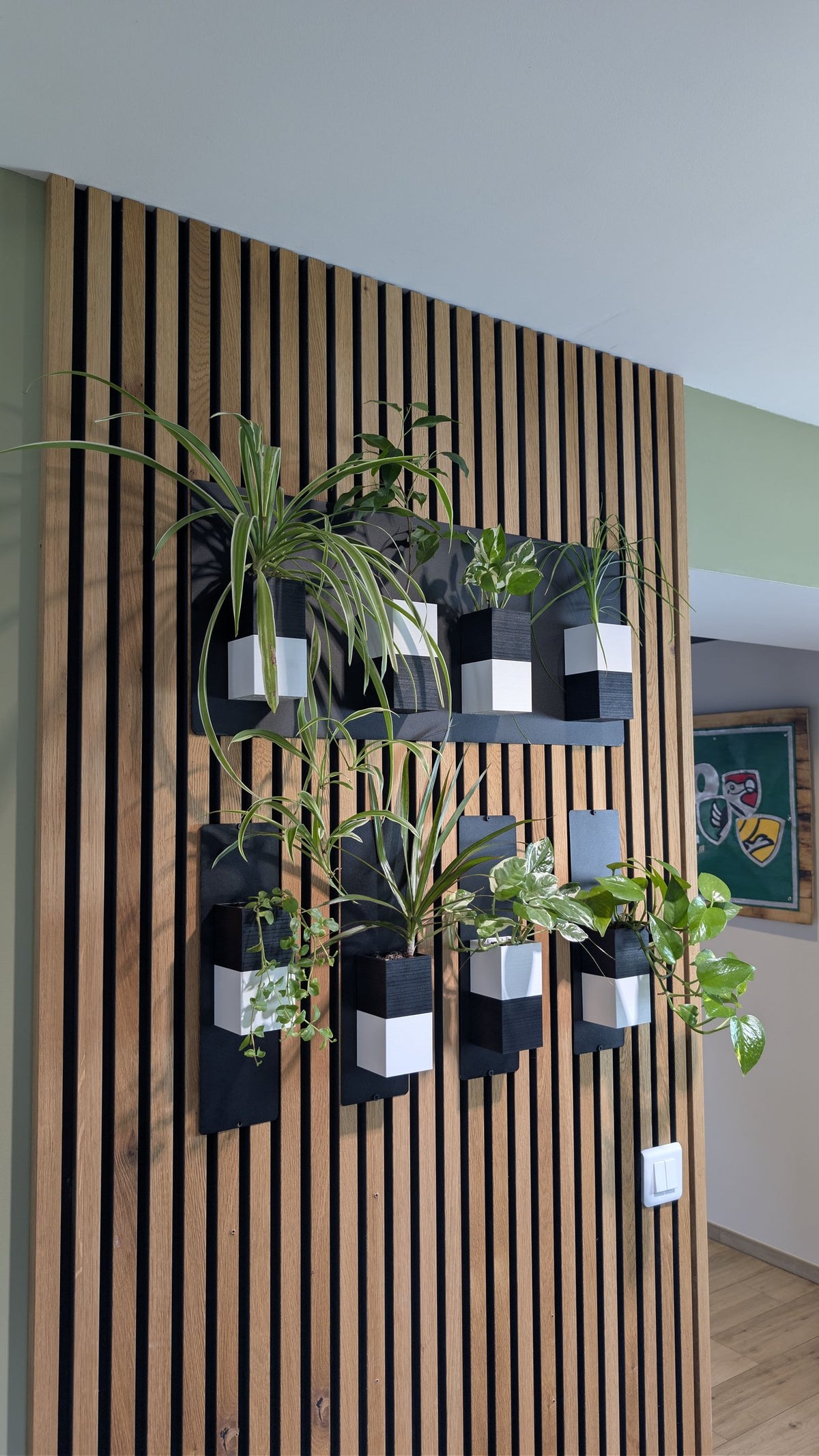 Mur végétal Éclance XS bicolore noir et blanc : mur végétal bicolore fixé sur un tasseau de bois avec diverses plantes vertes d'intérieur.