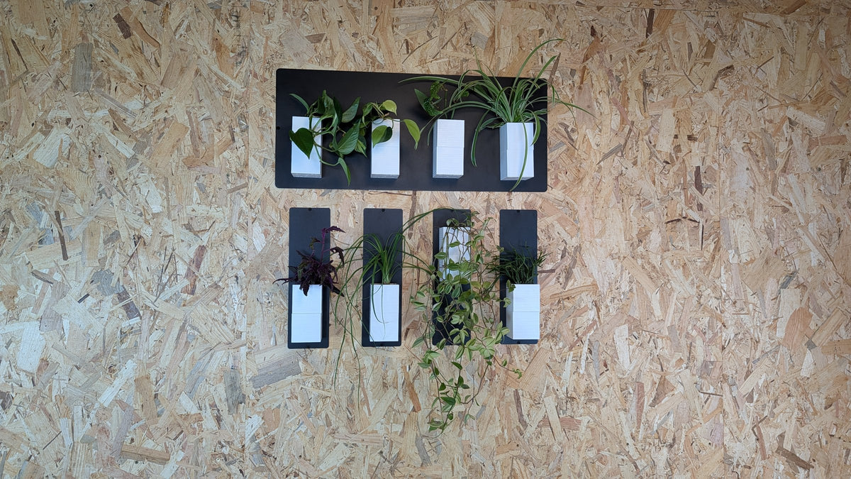 Mur végétal Éclance XS blanc : jardinières murales blanches et plaques noires avec diverses plantes vertes fixées sur un panneau OSB.