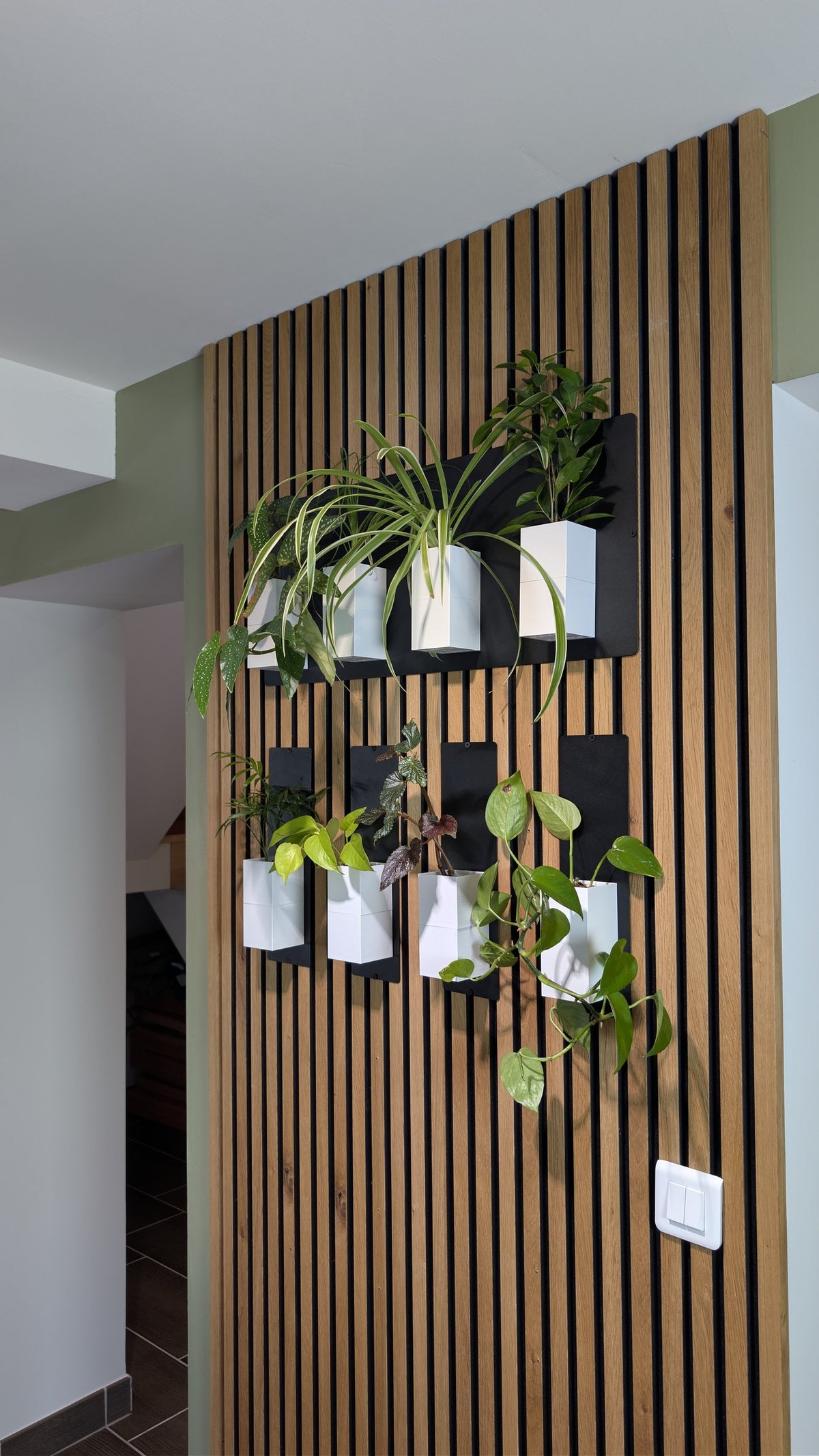 Mur végétal Éclance XS blanc : jardin vertical composé de cache-pots blancs fixés sur un panneau mural tasseaux de bois.
