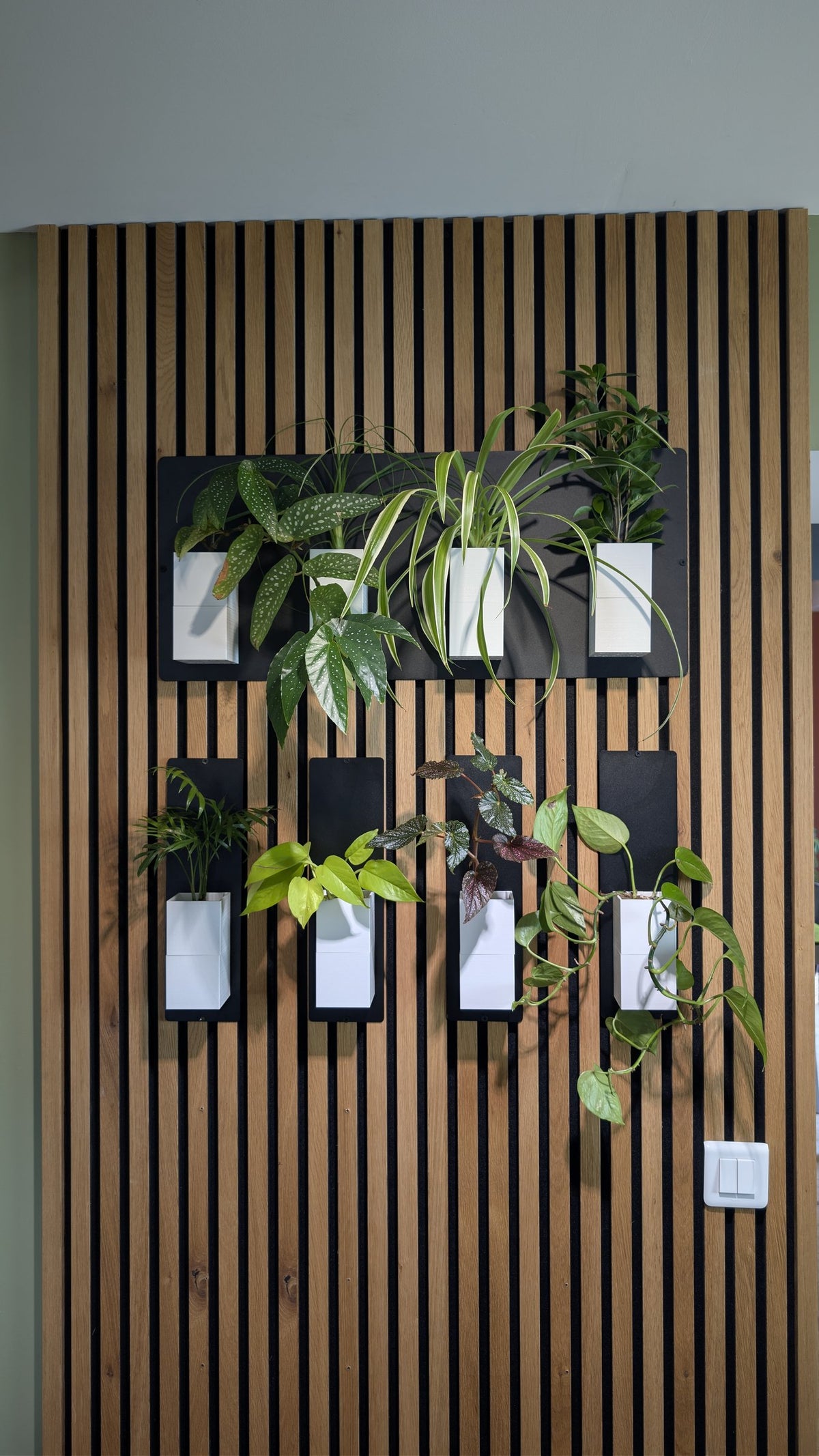 Mur végétal Éclance XS blanc : jardinières murales blanches fixées sur un tasseau de bois avec diverses plantes d'intérieur verdoyantes.