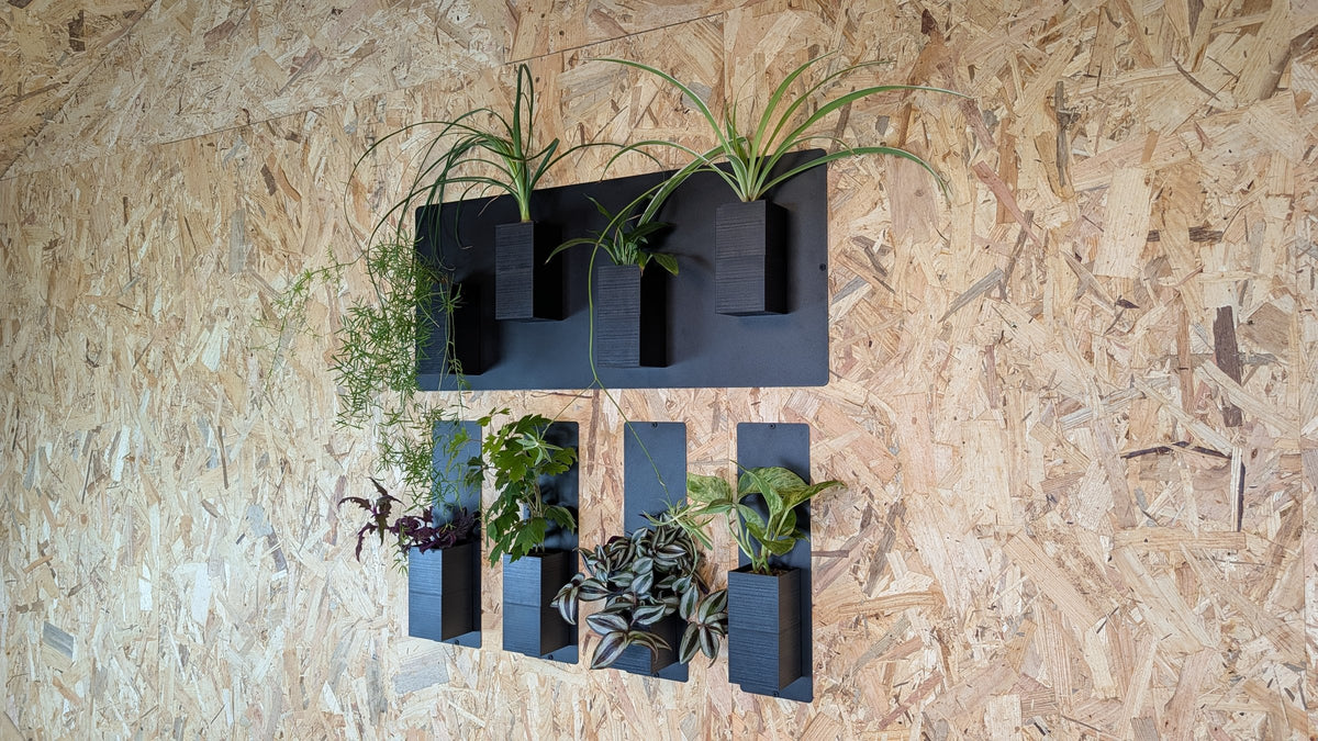 Mur végétal Éclance XS noir : support mural végétal noir Éclance avec plusieurs plantes vertes fixées sur un mur en bois OSB.