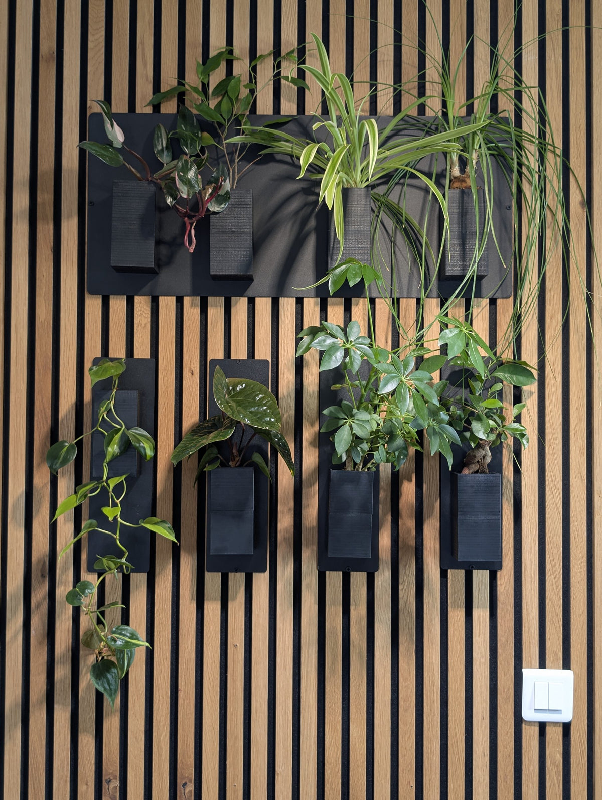 Mur végétal Éclance XS noir : plantes d'intérieur disposées sur un mur végétal noir fixé sur un panneau tasseaux de bois.