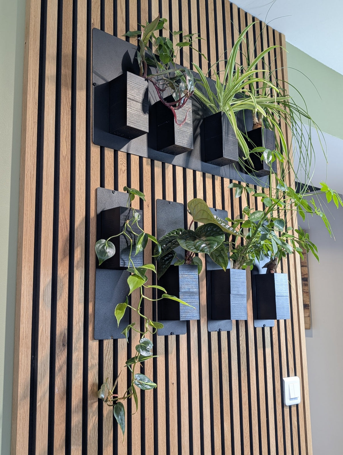 Mur végétal Éclance XS noir : support pour mur végétal noir Éclance fixé sur un tasseau de bois mural garni de plantes.