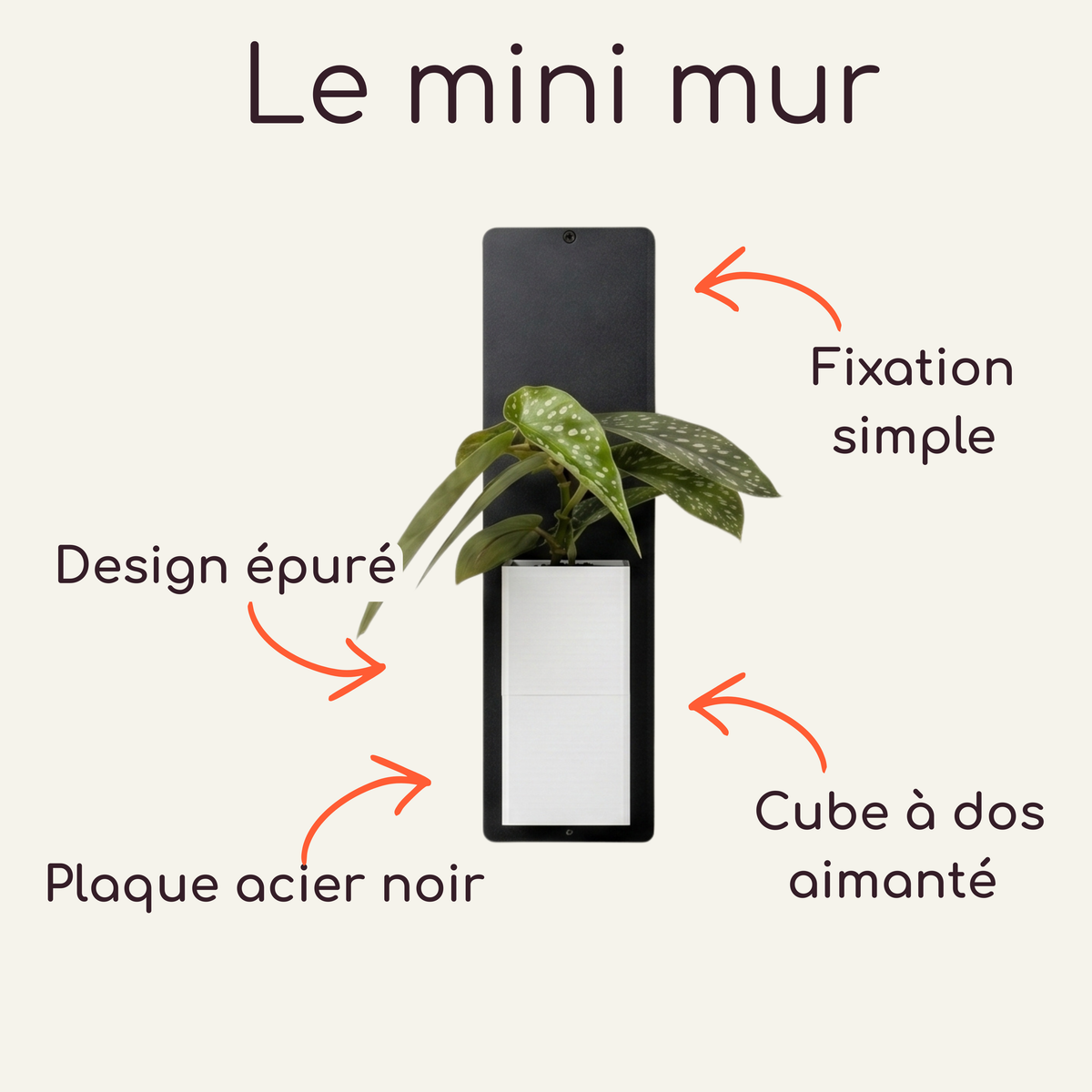Infographie technique détaillée d'un produit Éclance décoration intérieur végétal. Fond uni, un support mural noir vertical en acier, annotation technique : 'Plaque acier noir'. Sur ce dernier est fixé le cache-pot Le cube dans sa version tout blanc (un cache-pot adapté pour un pot de 6cm) contenant une plante d'intérieur, annotations : 'Cube à dos aimanté' et 'Design épuré'. Une flèche indique le haut de la plaque avec l'annotation : 'Fixation simple'. En haut de l'image, le texte  indique : 'Le mini mur'.