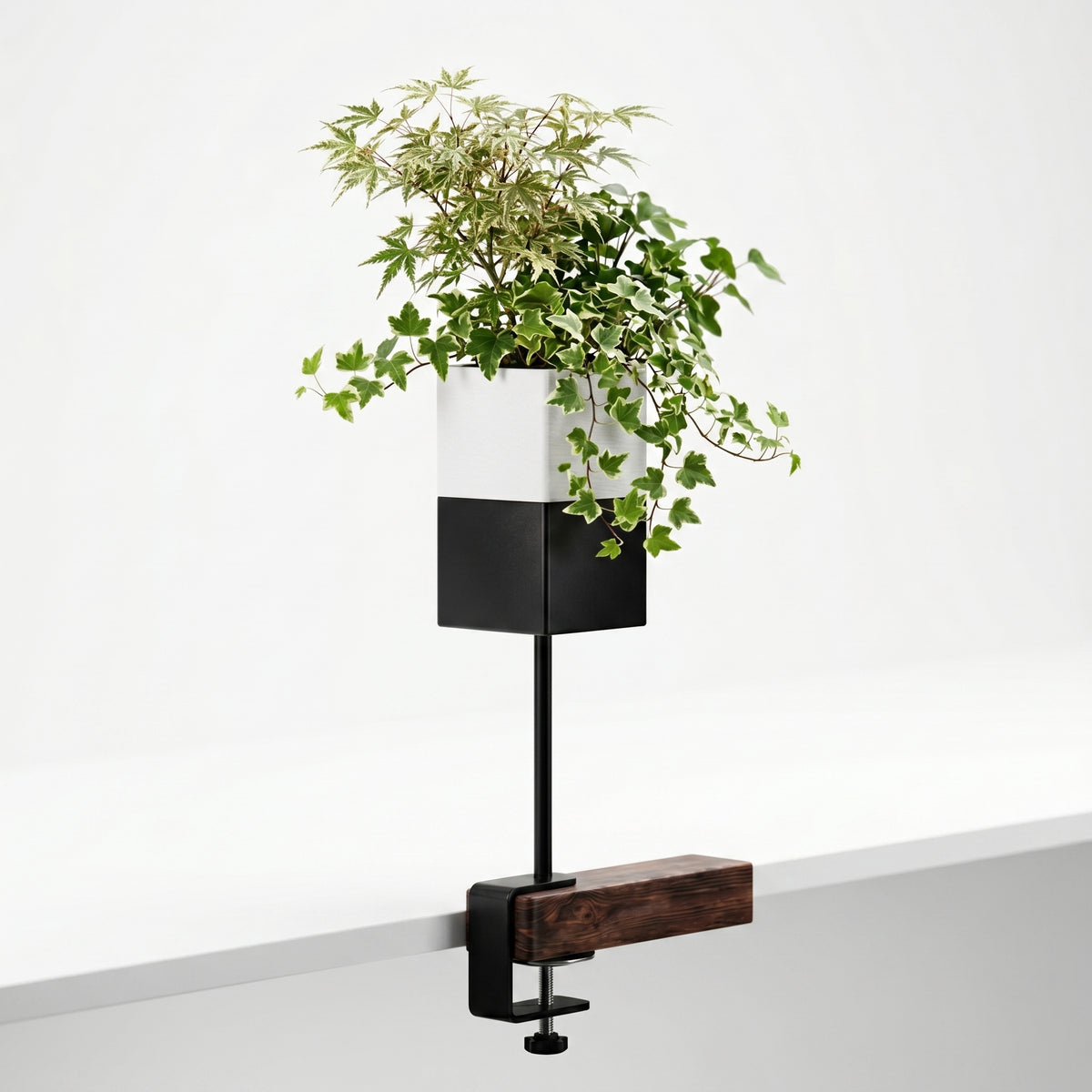 eclance-support-bureau-a-pincer-base-bois-cache-pot-le-cube-6cm-bicolore-blanc-noir