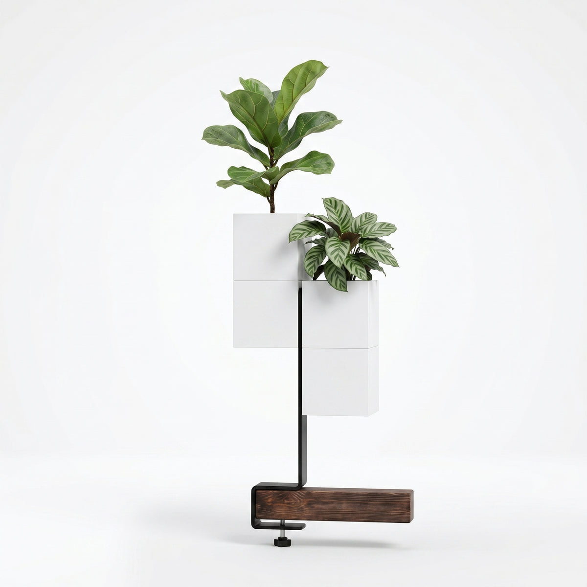 Barre de support verticale Éclance avec double caches-pots Les cubes blanc pour pot de 6cm, aménagement d'un îlot végétal intérieur moderne et minimaliste.