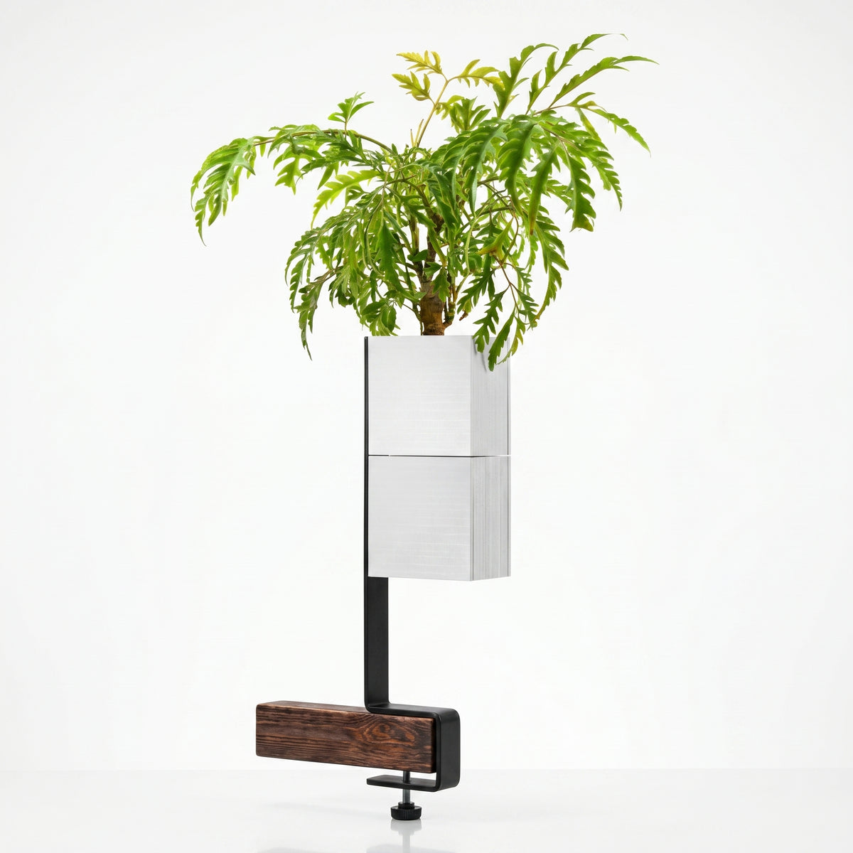 Barre de support verticale Éclance avec un cache-pots Le cube blanc pour pot de 6cm, aménagement d'un îlot végétal intérieur moderne et minimaliste.