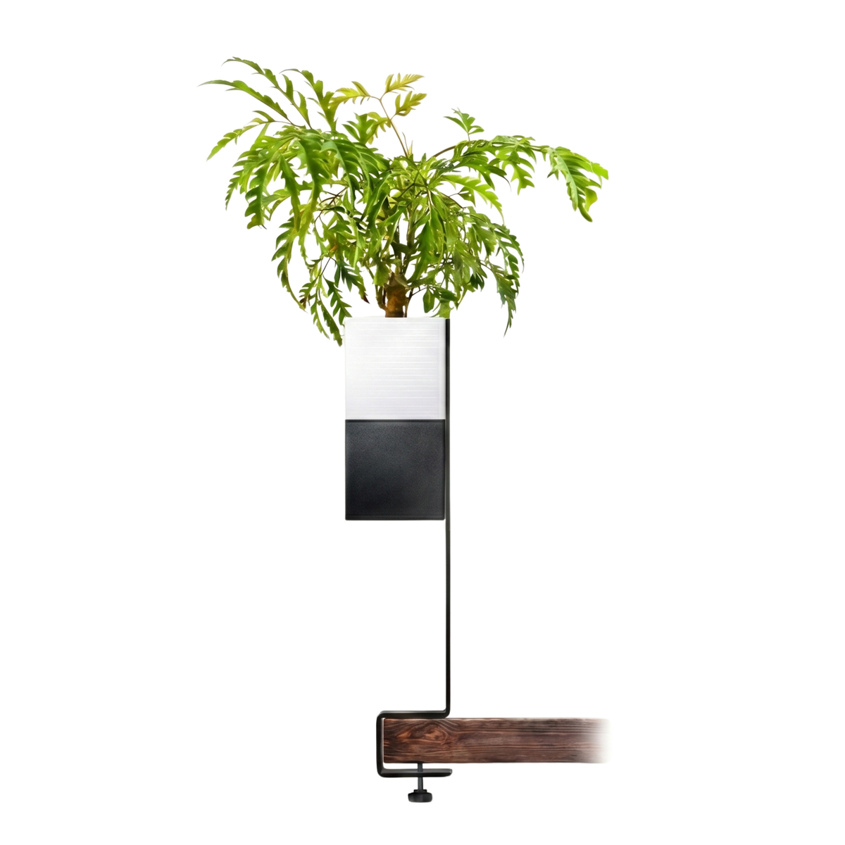Barre de support verticale Éclance avec un cache-pot. Le cube blanc et noir pour pot de 6cm, aménagement d'un îlot végétal intérieur moderne et minimaliste.
