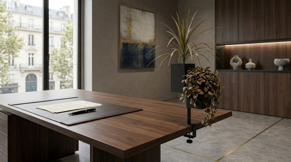 photographie professionnelle d'un bureau de direction luxueux avec le support double l'îlot végétal Éclance décoration intérieur végétal noir fixé au coin d'une table en bois de noyer massif. Le support maintient deux cache-pots Le cube noirs  dont adapté pour un pot de 6cm, contenant des plantes Dracaena (araignée) et Fittonia (nerve plant). Sur le bureau, un sous-main en cuir marron, un stylo plume et des documents. L'arrière-plan montre une grande fenêtre avec vue sur les immeubles haussmanniens parisien