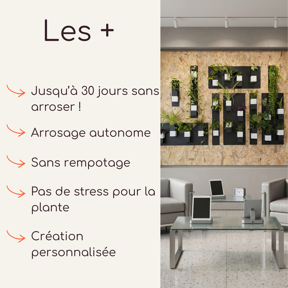 Infographie publicitaire intitulée "Les +" de la marque Éclance décoration intérieur végétal. La partie gauche énumère les points forts du système avec des flèches orange : jusqu'à 30 jours sans arroser !, arrosage autonome, sans rempotage, pas de stress pour la plante et création personnalisée. La partie droite montre une mise en situation réelle dans une salle d'attente moderne, illustrant les supports muraux noirs et les cache-pots Le Cube bicolores (noir et blanc), spécialement adaptés pour pots de 6 cm