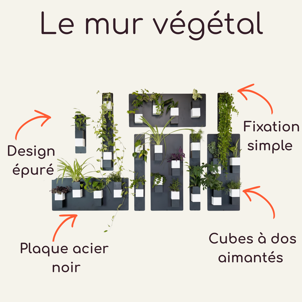 Infographie explicative intitulée "Le mur végétal" par la marque Éclance décoration intérieur végétal. L'image présente une composition modulaire de plantes d'intérieur et détaille ses caractéristiques techniques à l'aide de flèches orange : un design épuré, une plaque acier noir servant de support, une fixation simple, et des cubes à dos aimantés. Les cache-pots Le Cube bicolores (noir et blanc) sont spécialement adaptés pour accueillir des pots de 6cm et se fixent magnétiquement sur les plaques noirs.