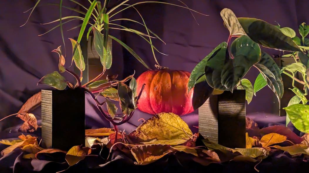 Cache-pots Éclance noirs à arrosage autonome dans une ambiance d'automne avec citrouille