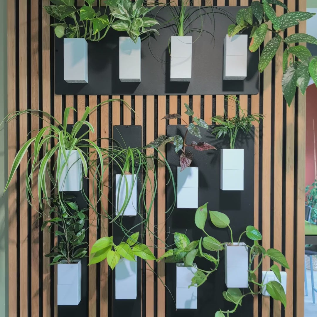 Le mur végétal : votre jardin d'intérieur autonome