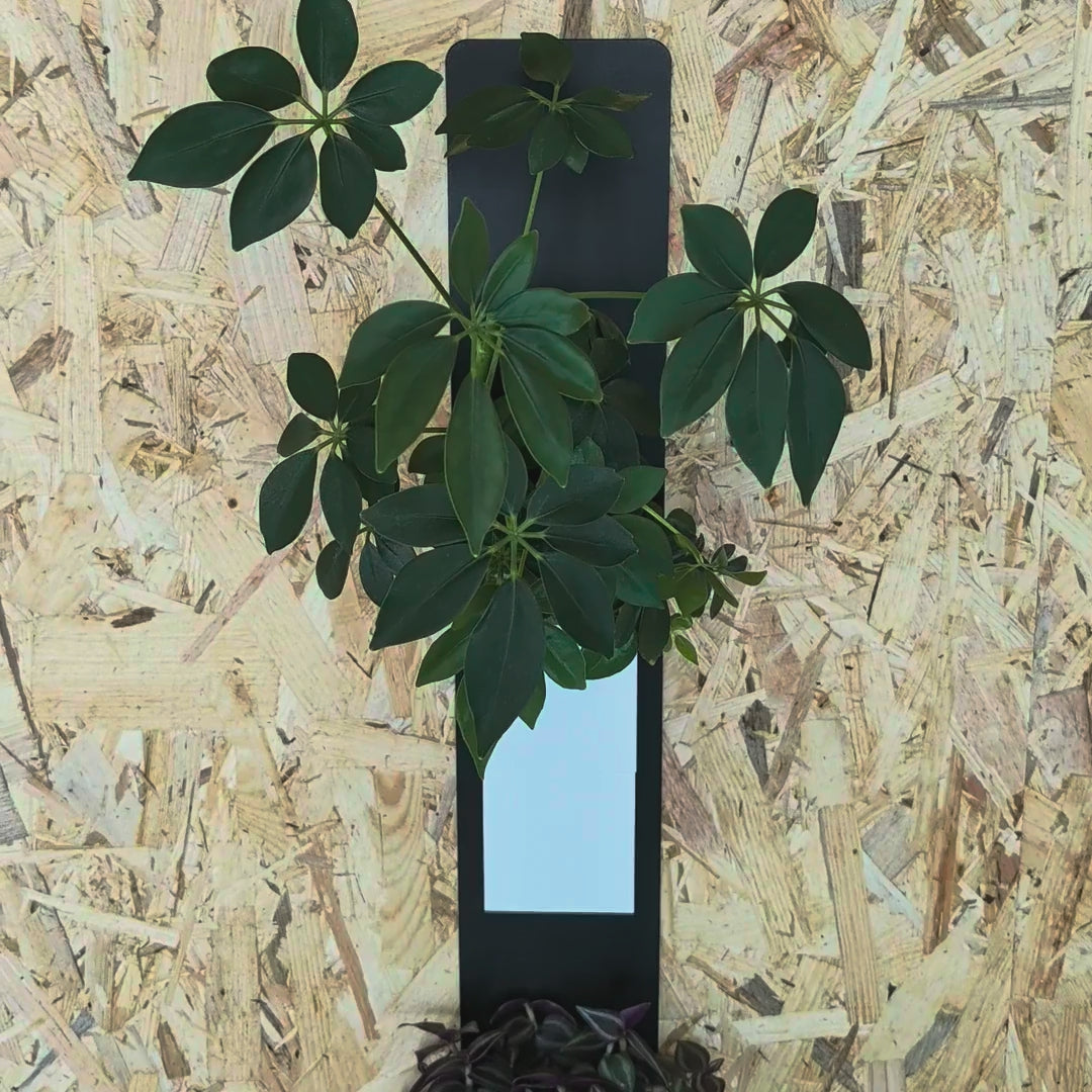 Vidéo du mini mur végétal Éclance à arrosage autonome : plaque en acier noir et cubes aimantés, en 1, 2 ou 4 cubes, coloris blanc, noir et bicolore, installation simple, jusqu’à 4 semaines d’autonomie, fabriqué en France.